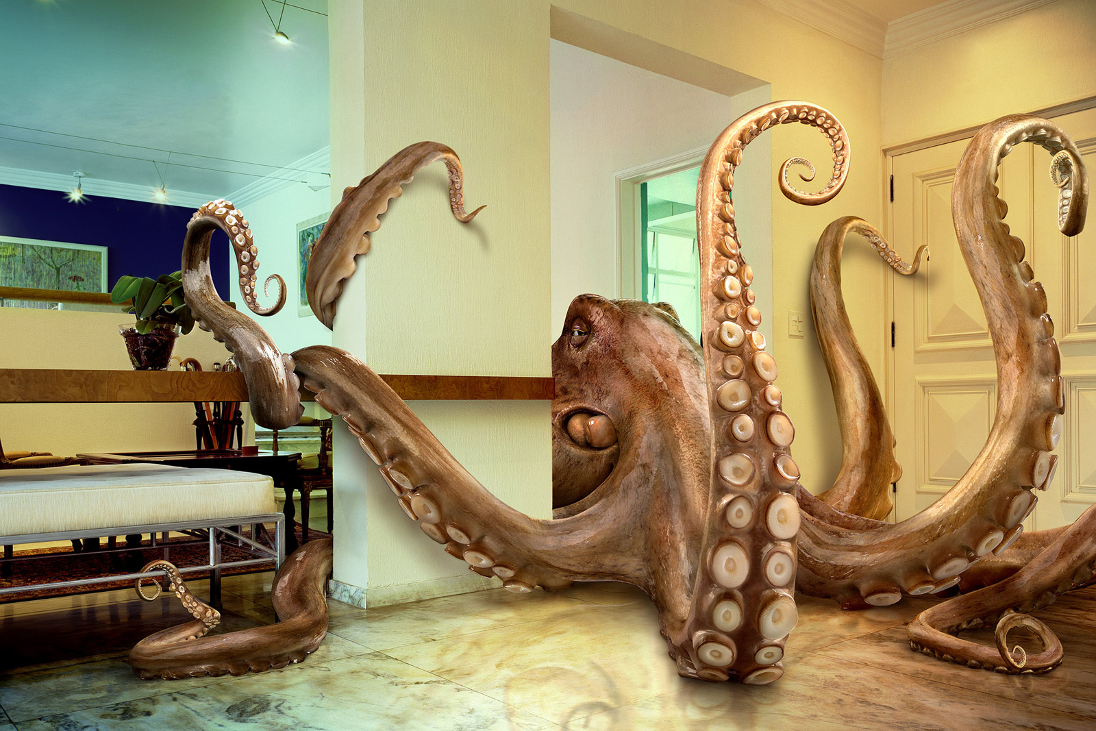 octopus, fantasy, sea monster 4K