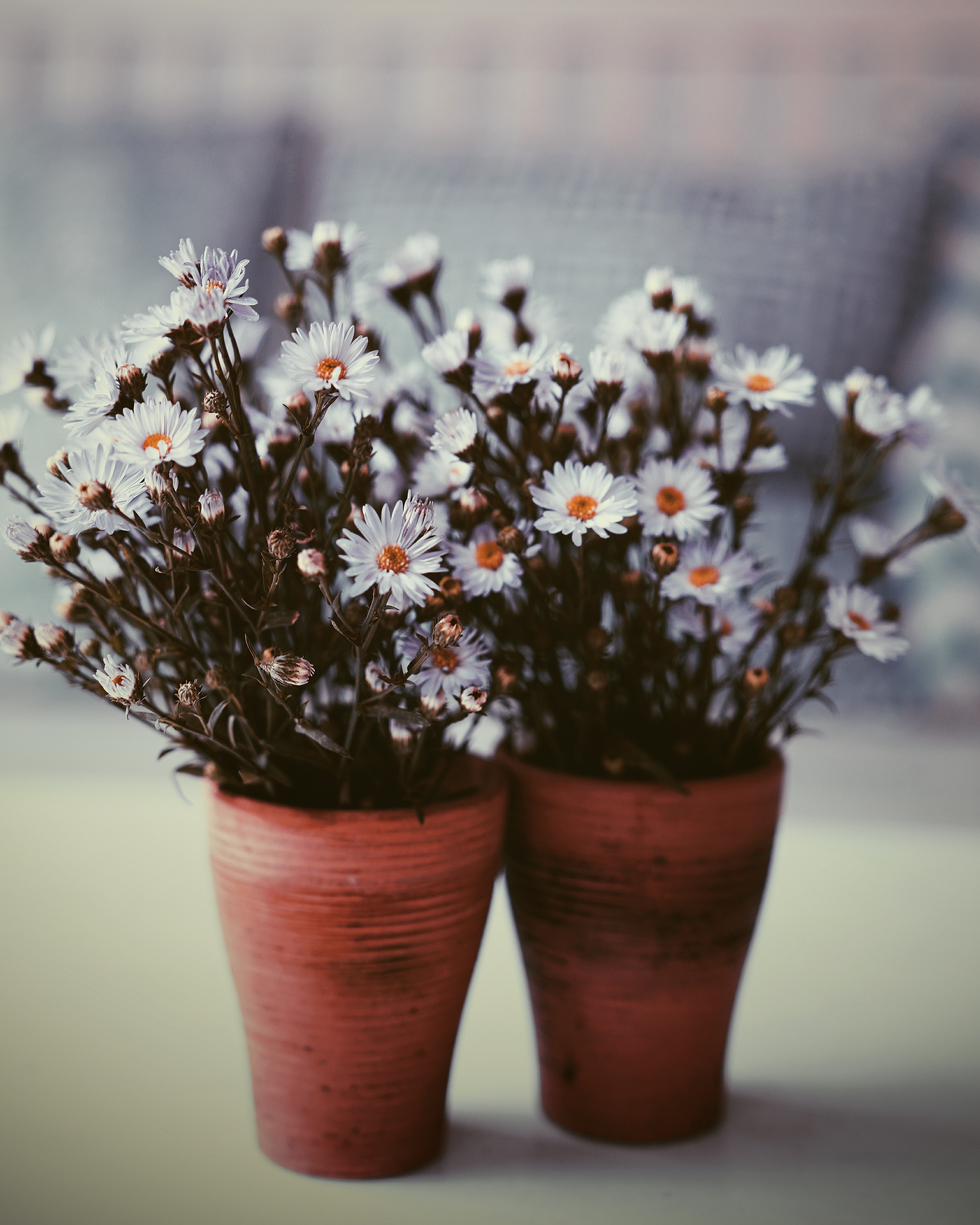 Download mobile wallpaper Flowers, Smooth, Vase, Bouquets, Blur for free.