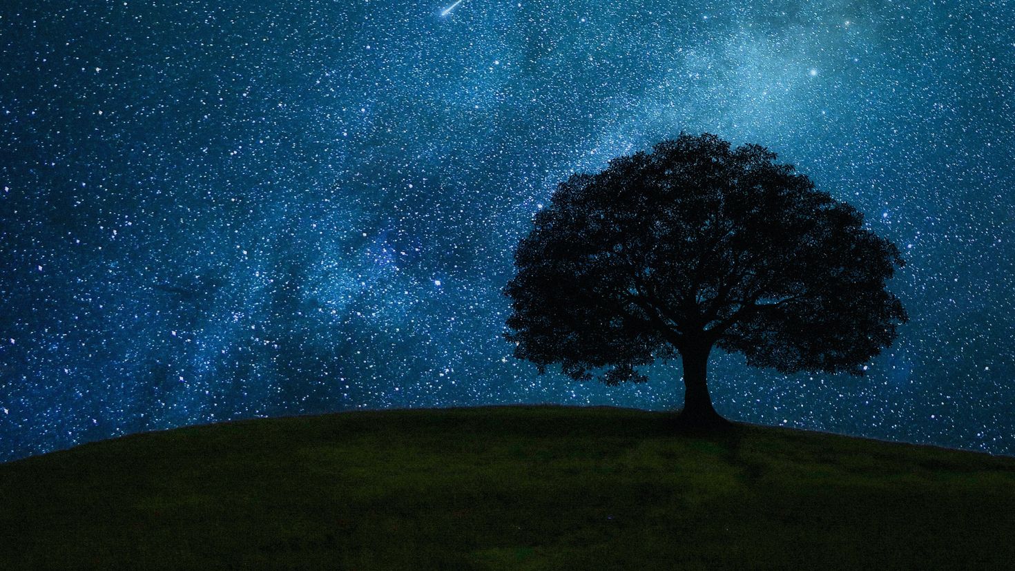 Stars horizon. Ночное небо. Звезда дерево. Ночь звезды. Звездное небо деревья.