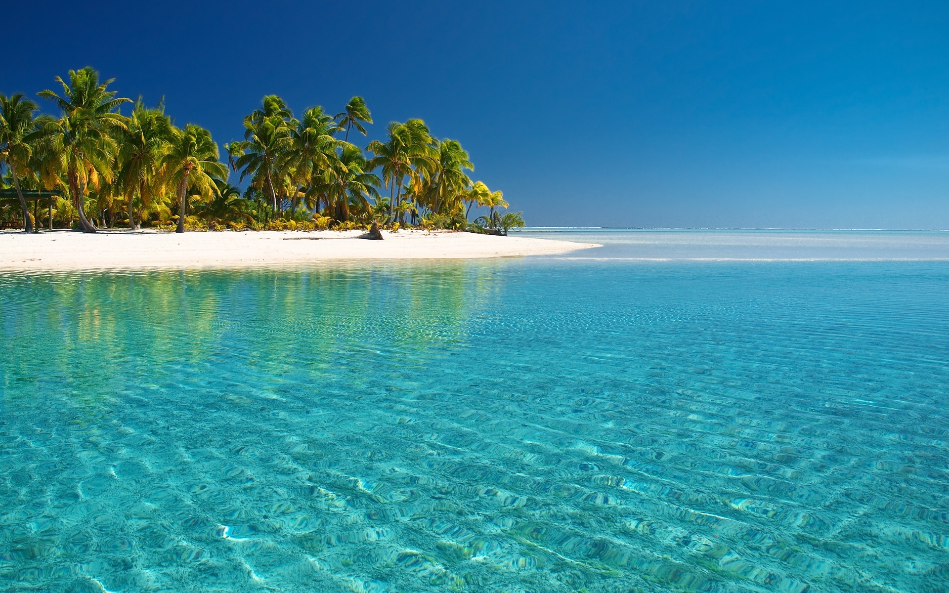 landscape, beach, palms, turquoise Full HD