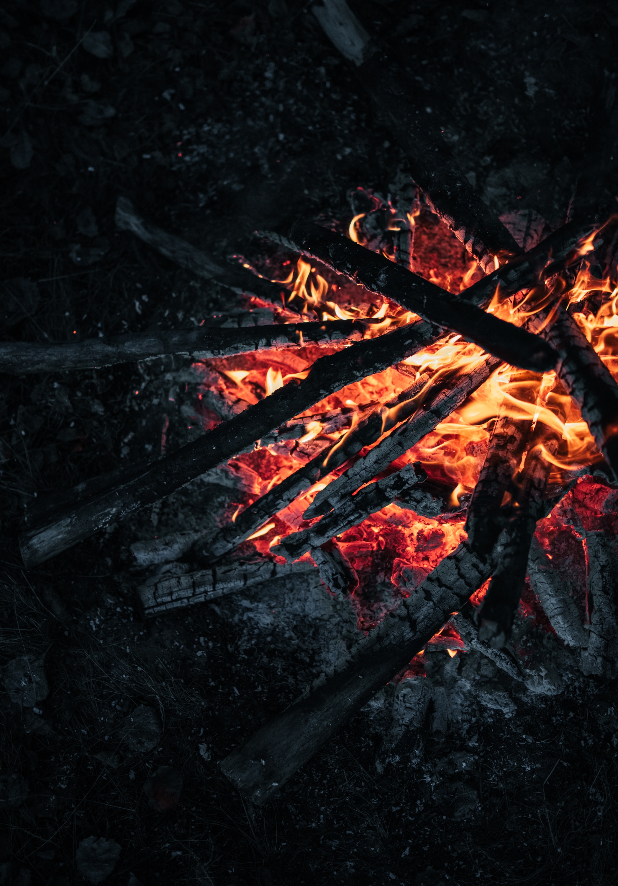 bonfire, firewood, fire, coals, dark Phone Background