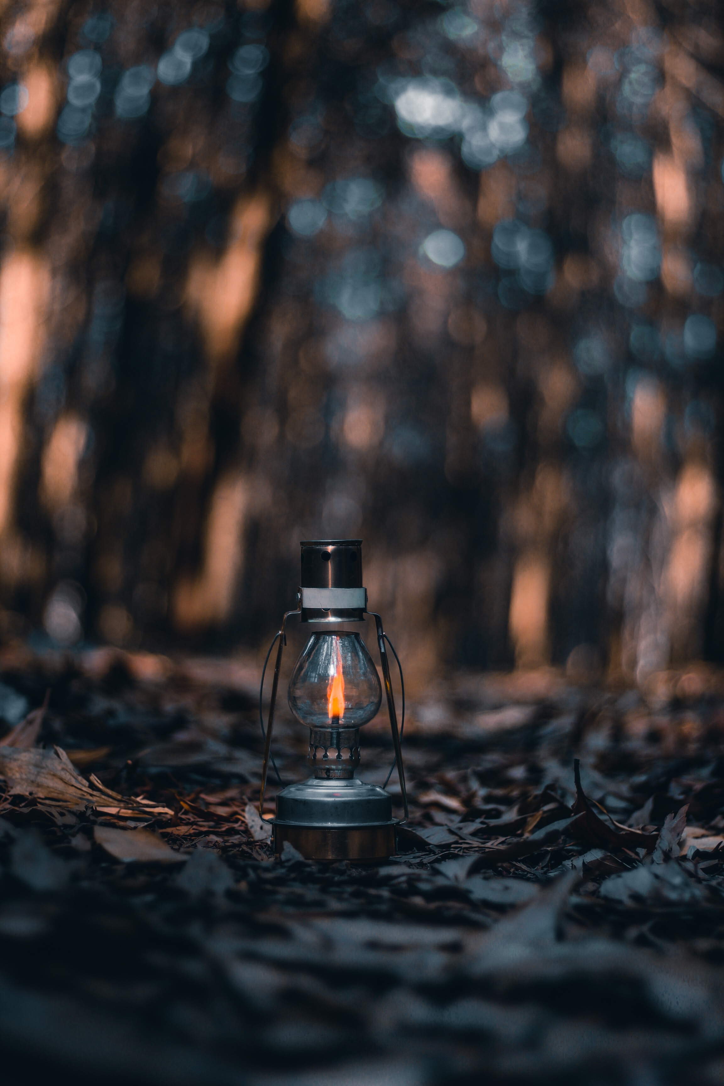 Download mobile wallpaper Miscellanea, Lantern, Autumn, Leaves, Dry, Miscellaneous, Lamp, Fire for free.