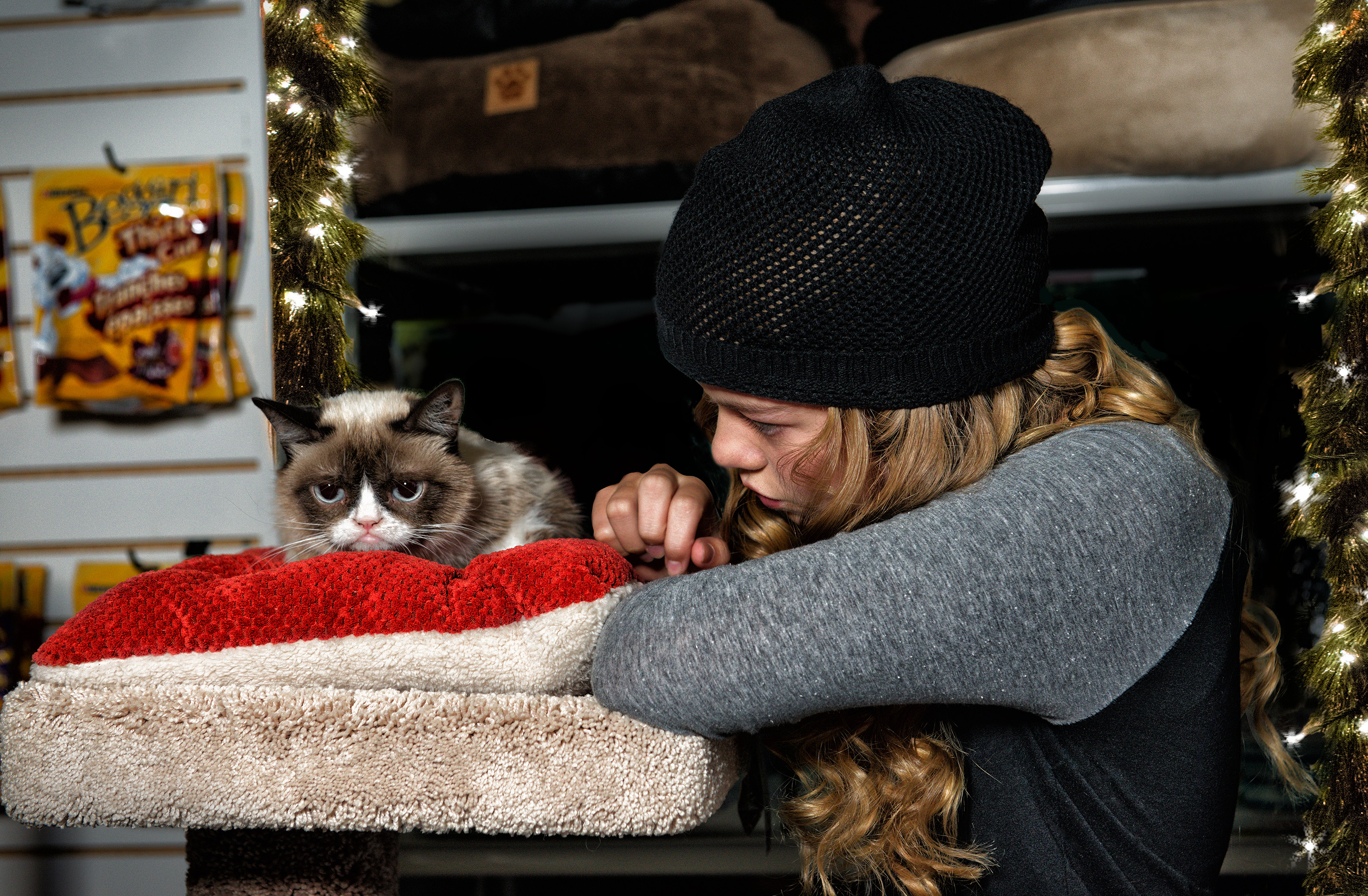 732034壁紙のダウンロード映画, グランピー・キャットの史上最悪のクリスマス, ネコ, 気難しい猫-スクリーンセーバーと写真を無料で