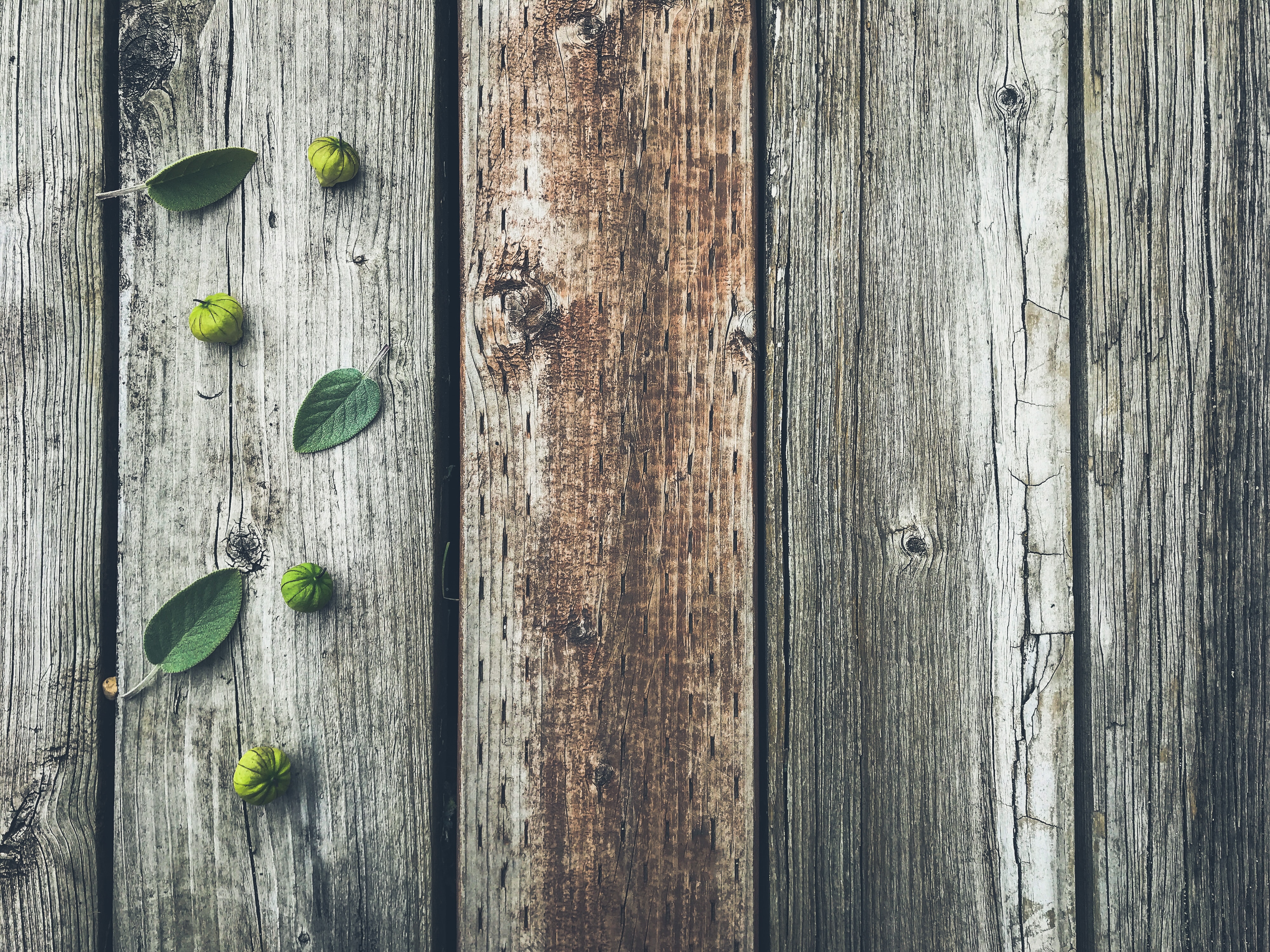 planks, wooden, leaves, wood, tree, texture, textures, fruit, board Phone Background