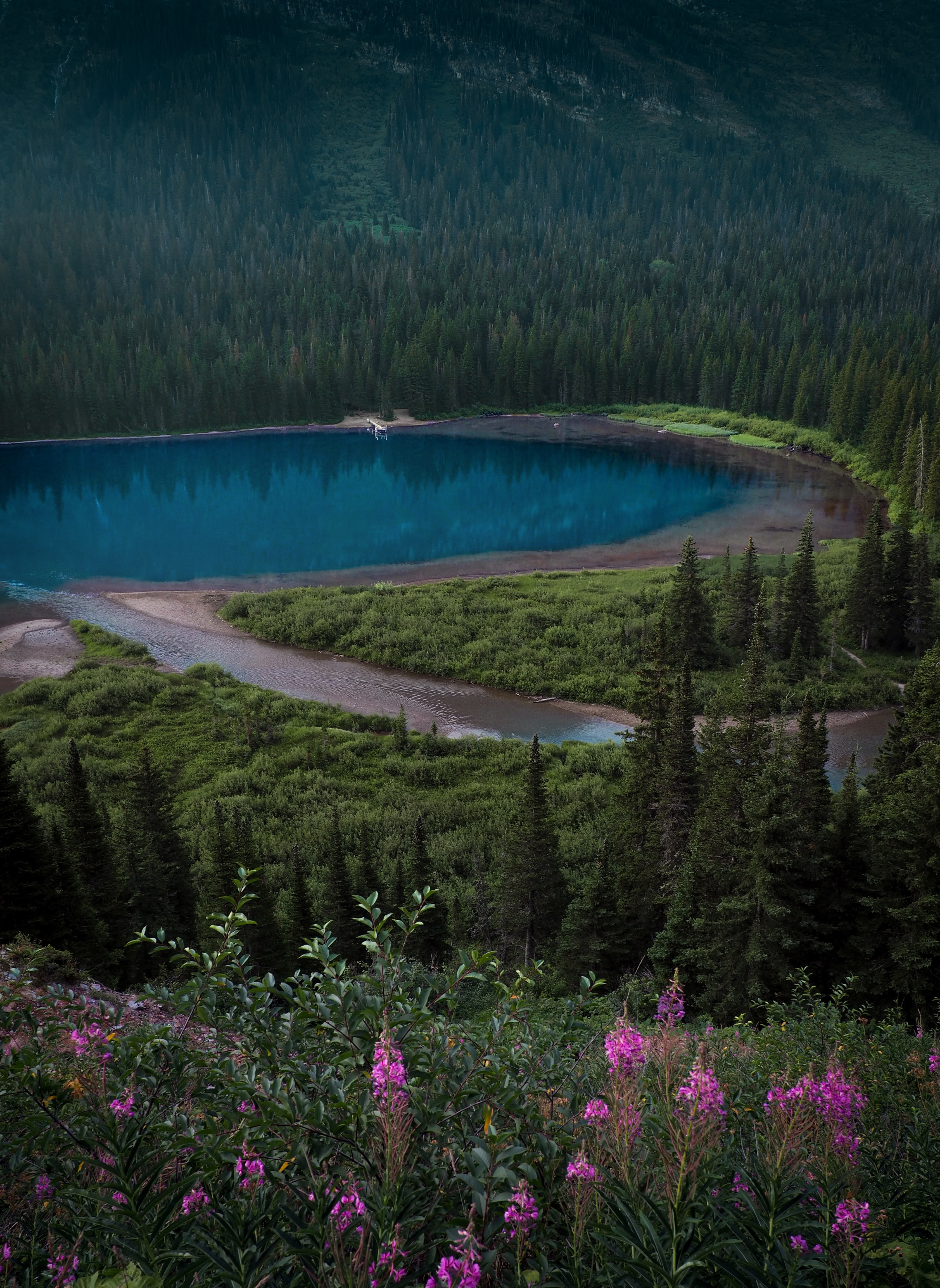 landscape, nature, lake, shore, bank, forest, slope Image for desktop