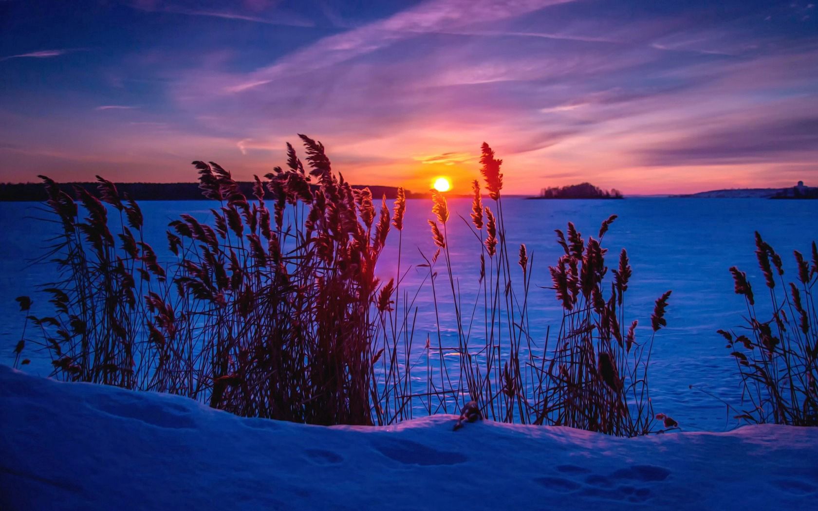 Download mobile wallpaper Winter, Sunset, Nature, Snow, Grass for free.