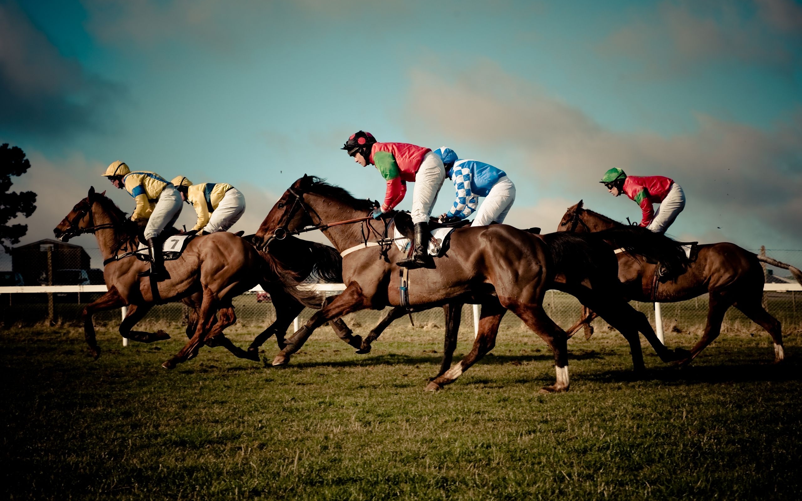 Free download wallpaper People, Sports, Horses on your PC desktop
