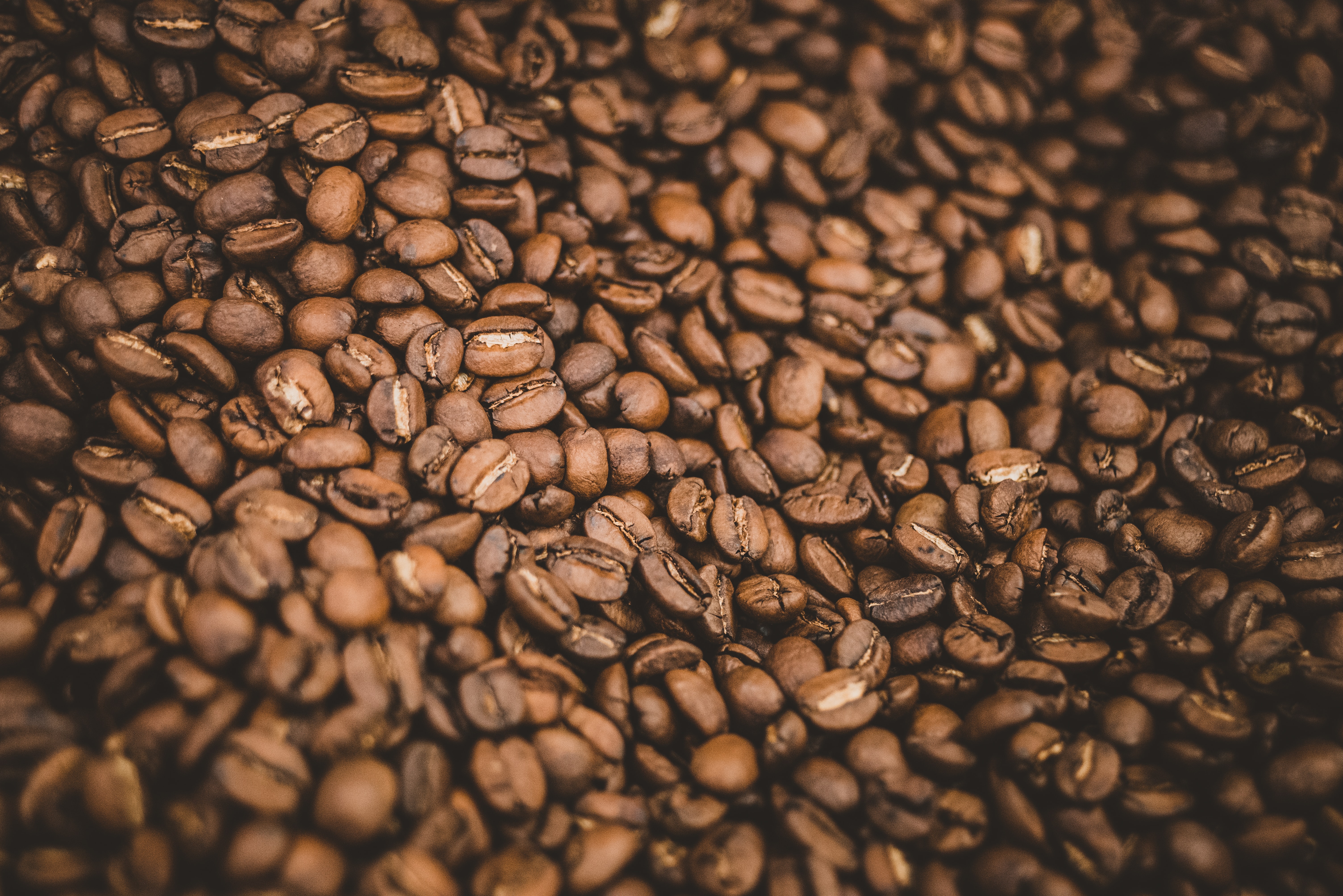 coffee, food, macro, brown, grains, coffee beans, grain
