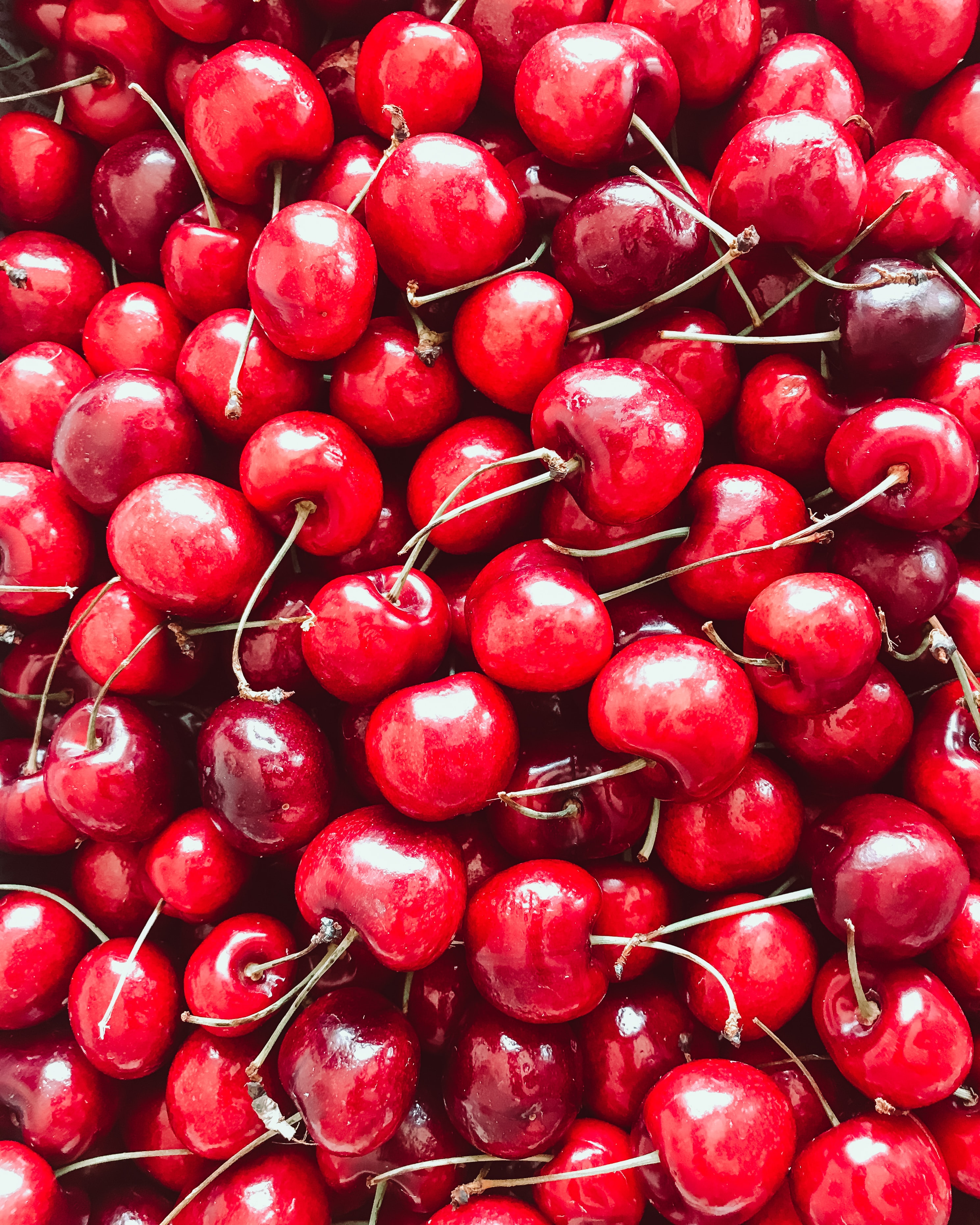 cherries, food, berries, red, ripe, harvest