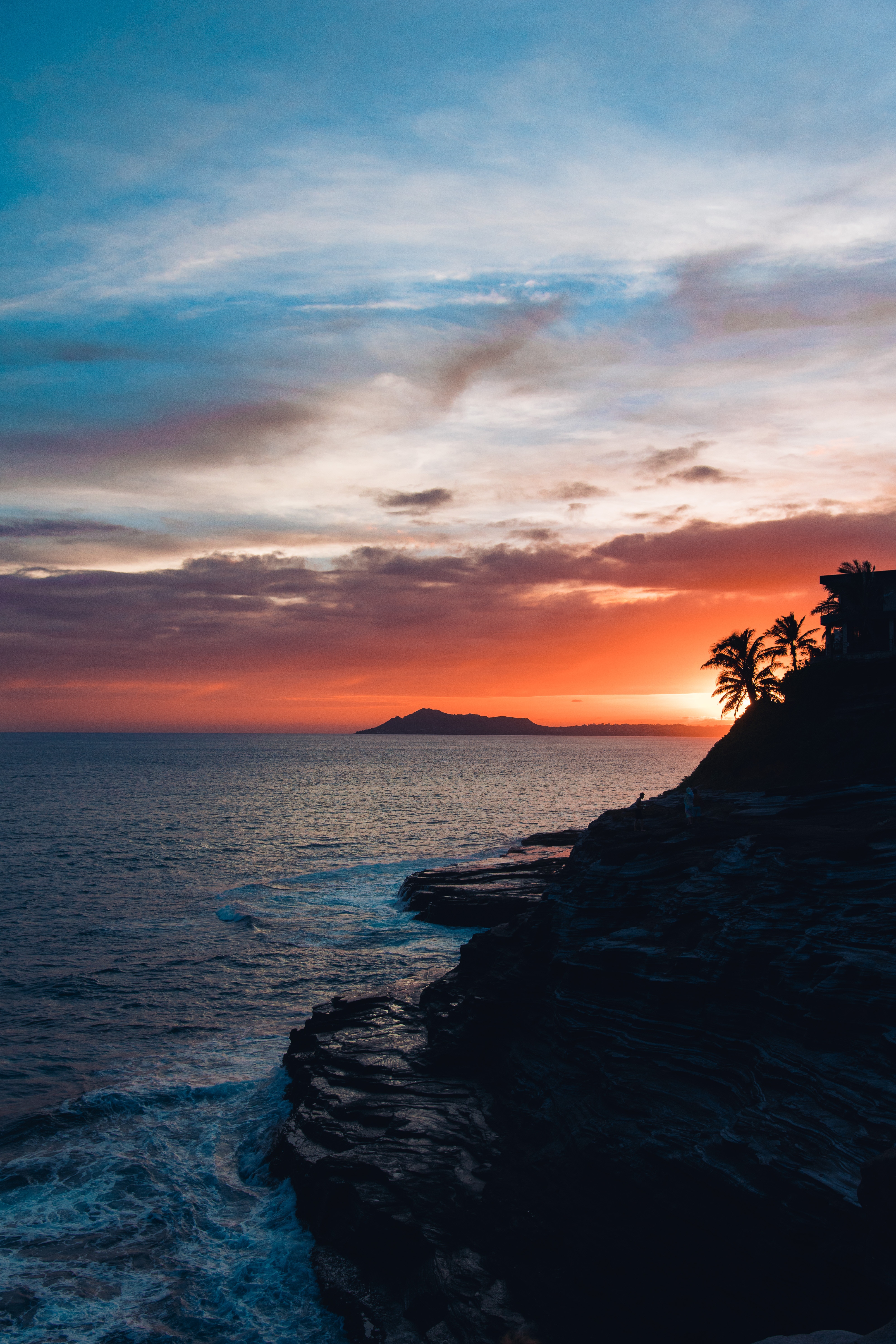 palm, sea, rock, sky, sunset, nature, night Full HD