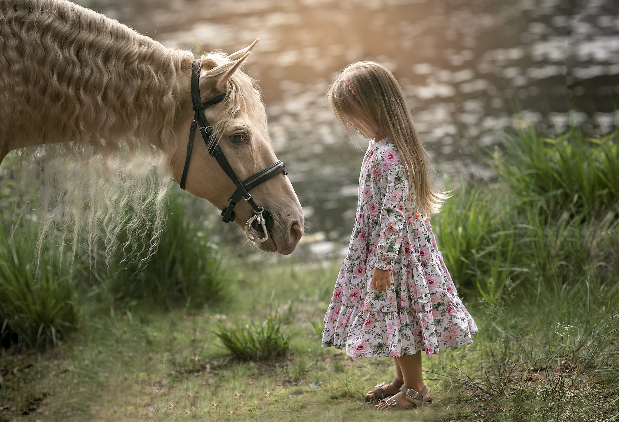 Девочка с лошадкой. Девочка на лошади. Лошадки для девочек. Девушка с лошадью. Девочка и конь.