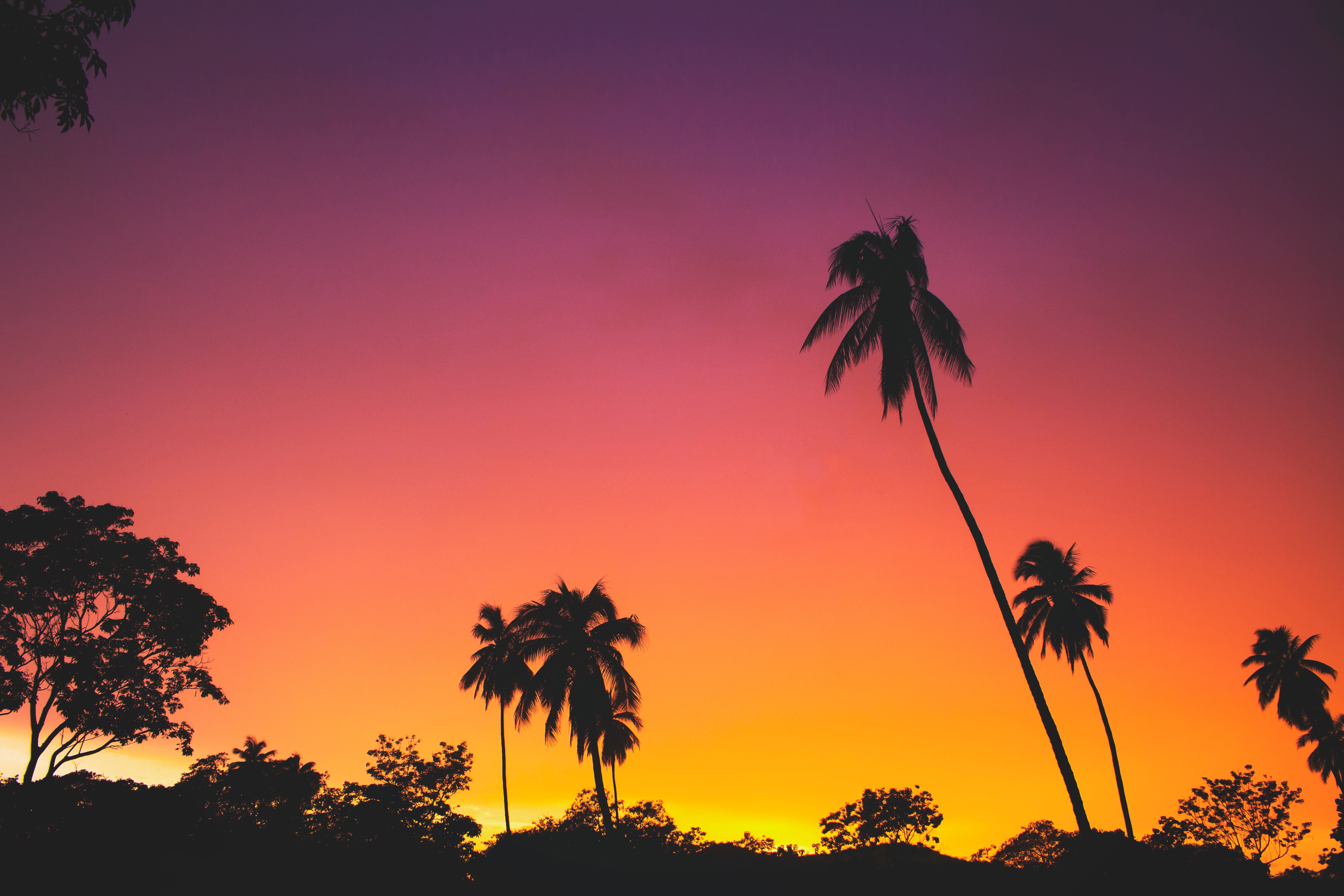 Handy-Wallpaper Tropen, Sunset, Silhouetten, Natur, Sky, Palms kostenlos herunterladen.
