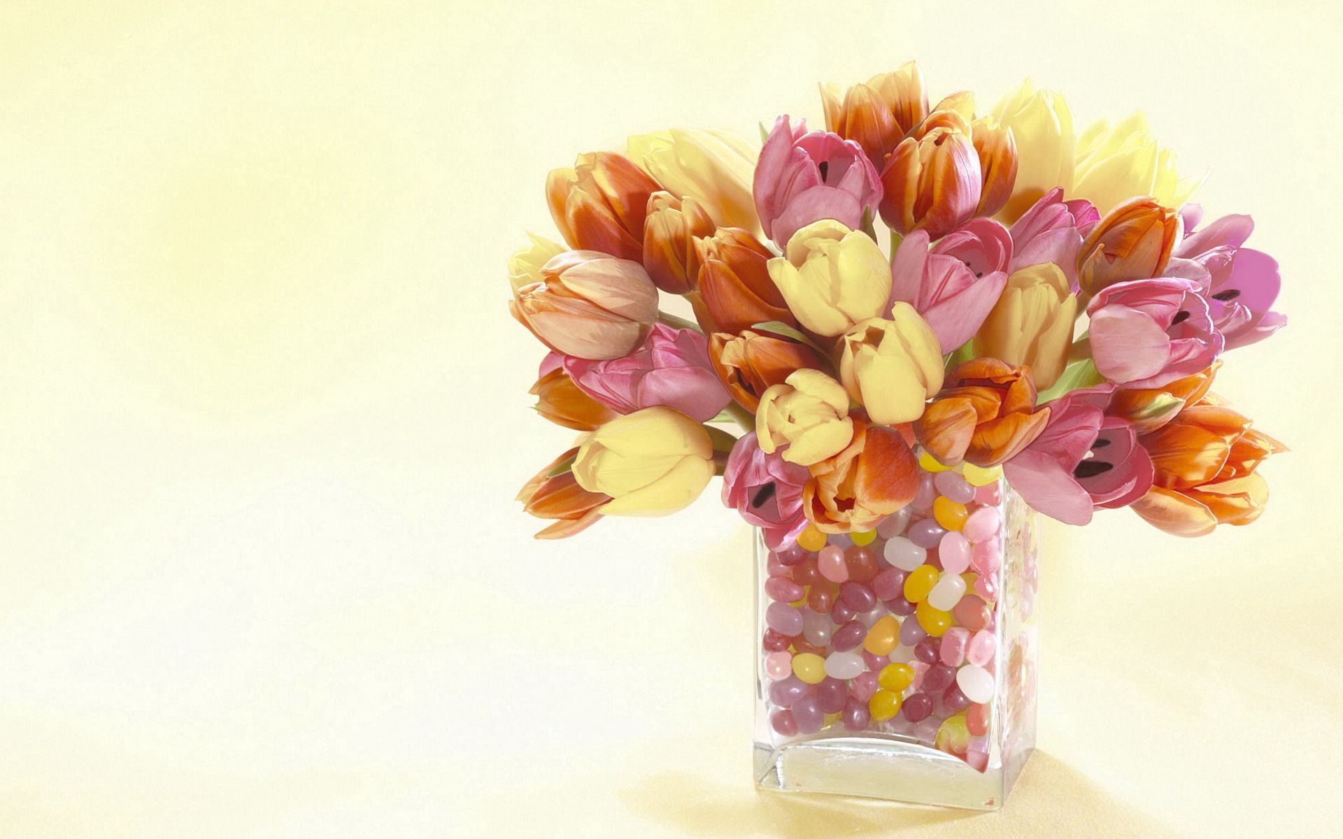 tulips, flowers, stones, vase, decorative 8K