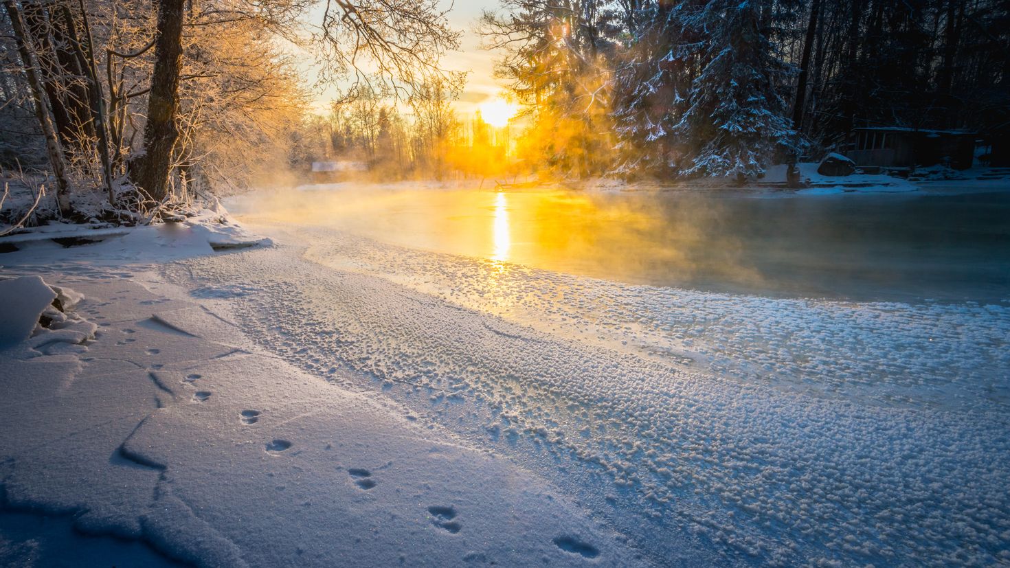 Snowy morning fred. Зимнее утро. Солнце зимой. Снежное утро. Солнечный зимний день.