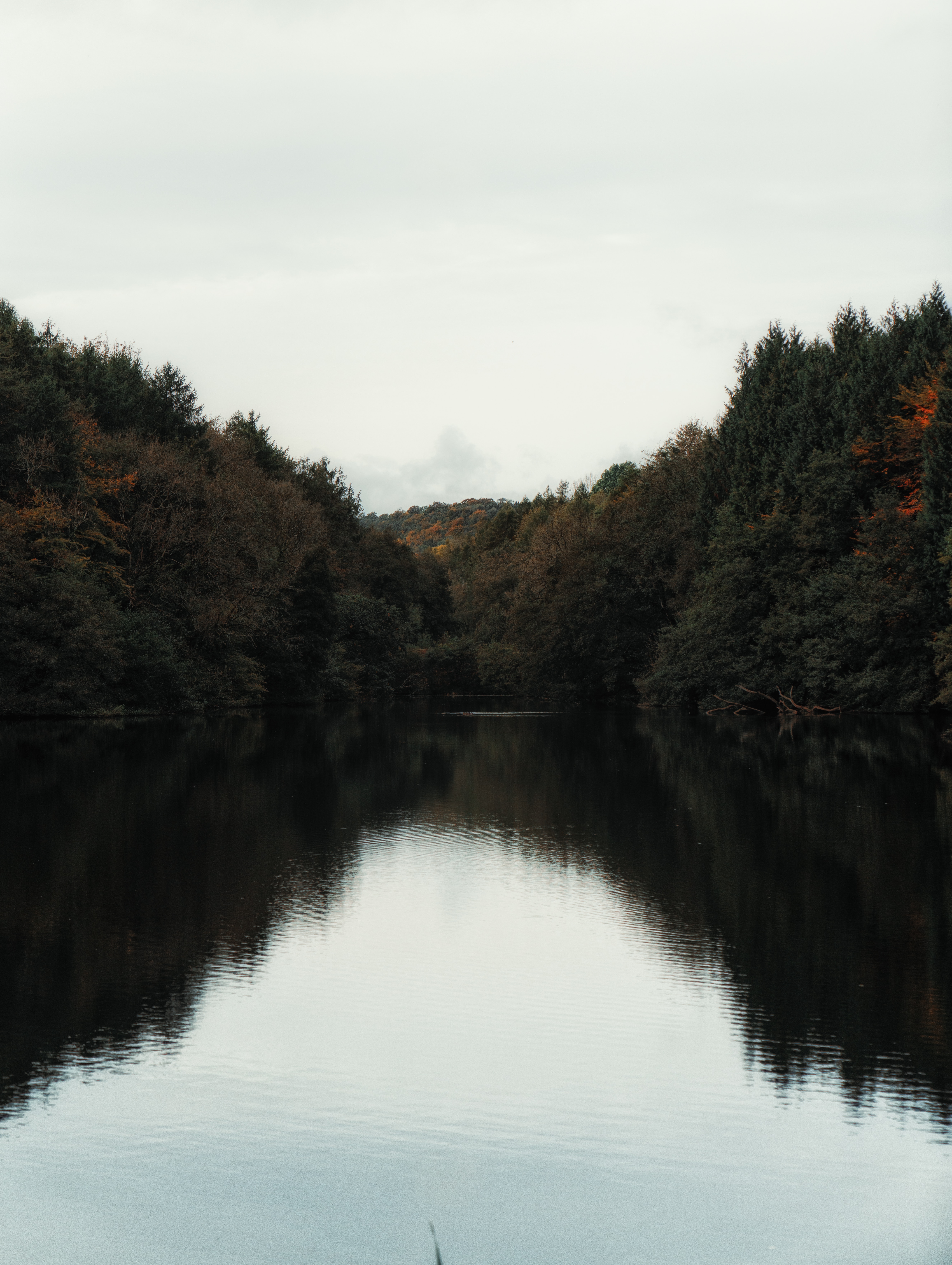 landscape, nature, water, trees, lake, shore, bank HD for desktop 1080p