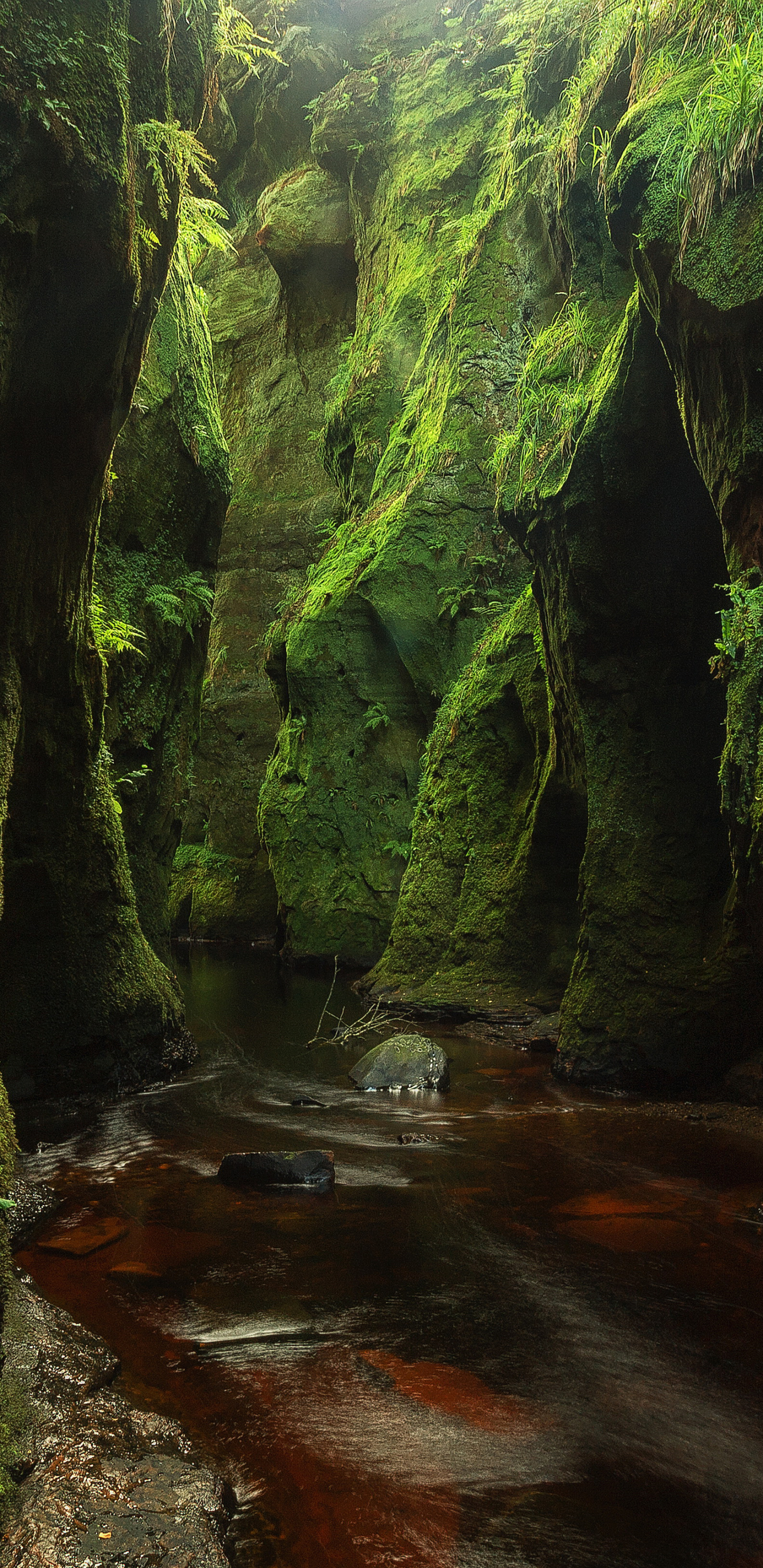 Download mobile wallpaper Nature, Canyon, Earth, Moss, Stream, Canyons for free.