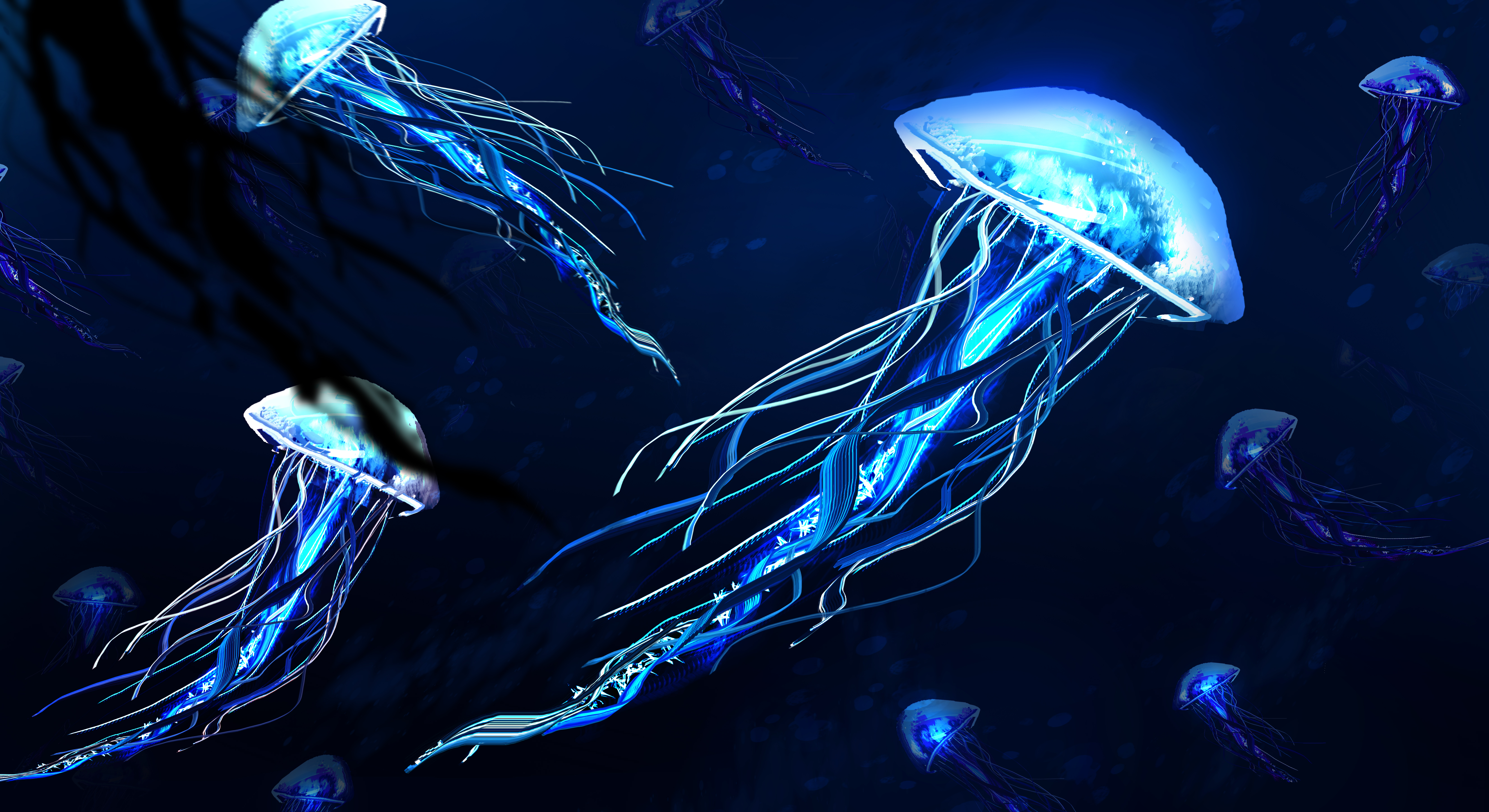 Светящиеся медузы