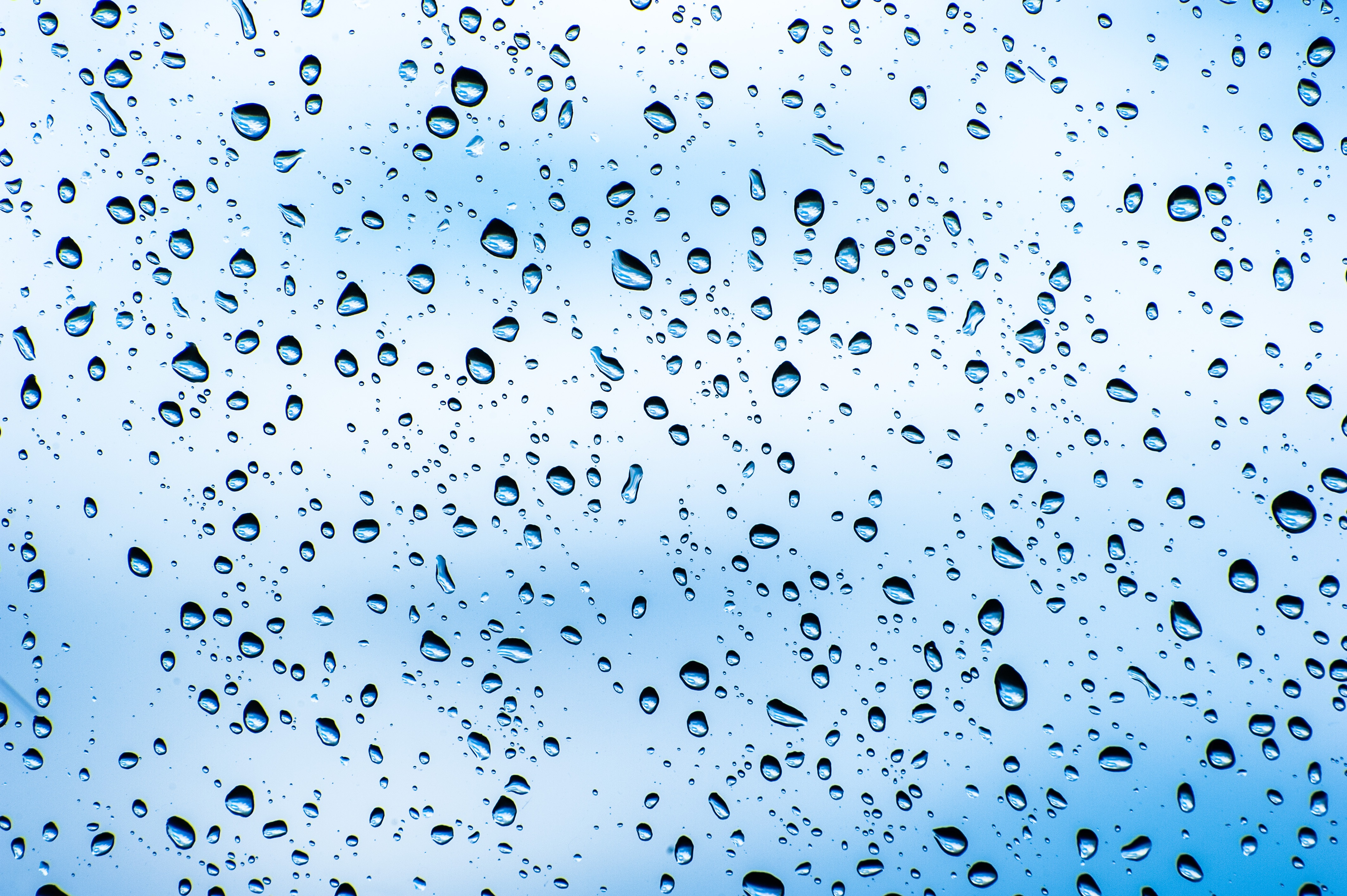 Download mobile wallpaper Macro, Wet, Transparent, Drops, Surface for free.