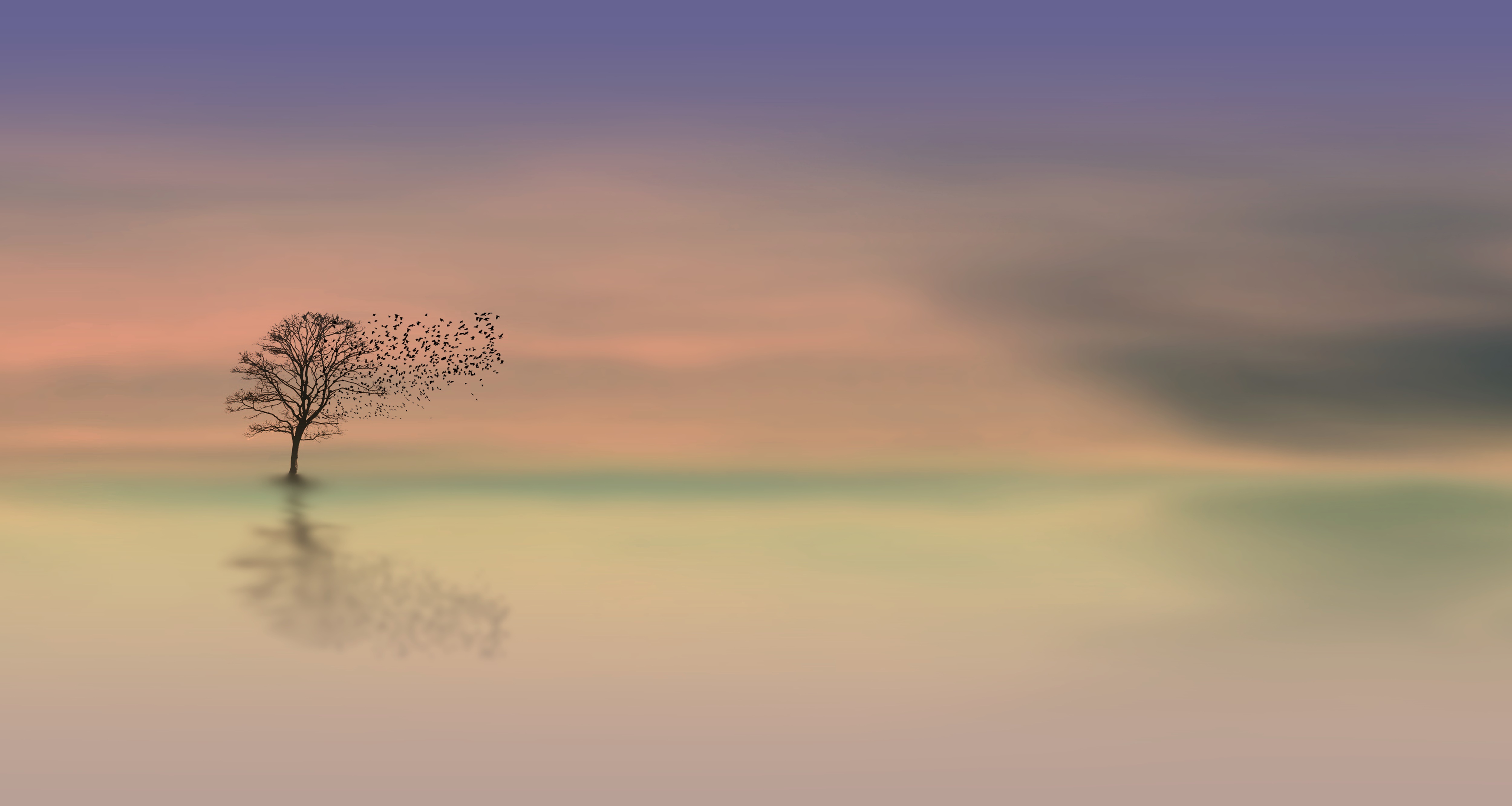 Free download wallpaper Horizon, Tree, Lonely, Wood, Dawn, Alone, Minimalism on your PC desktop