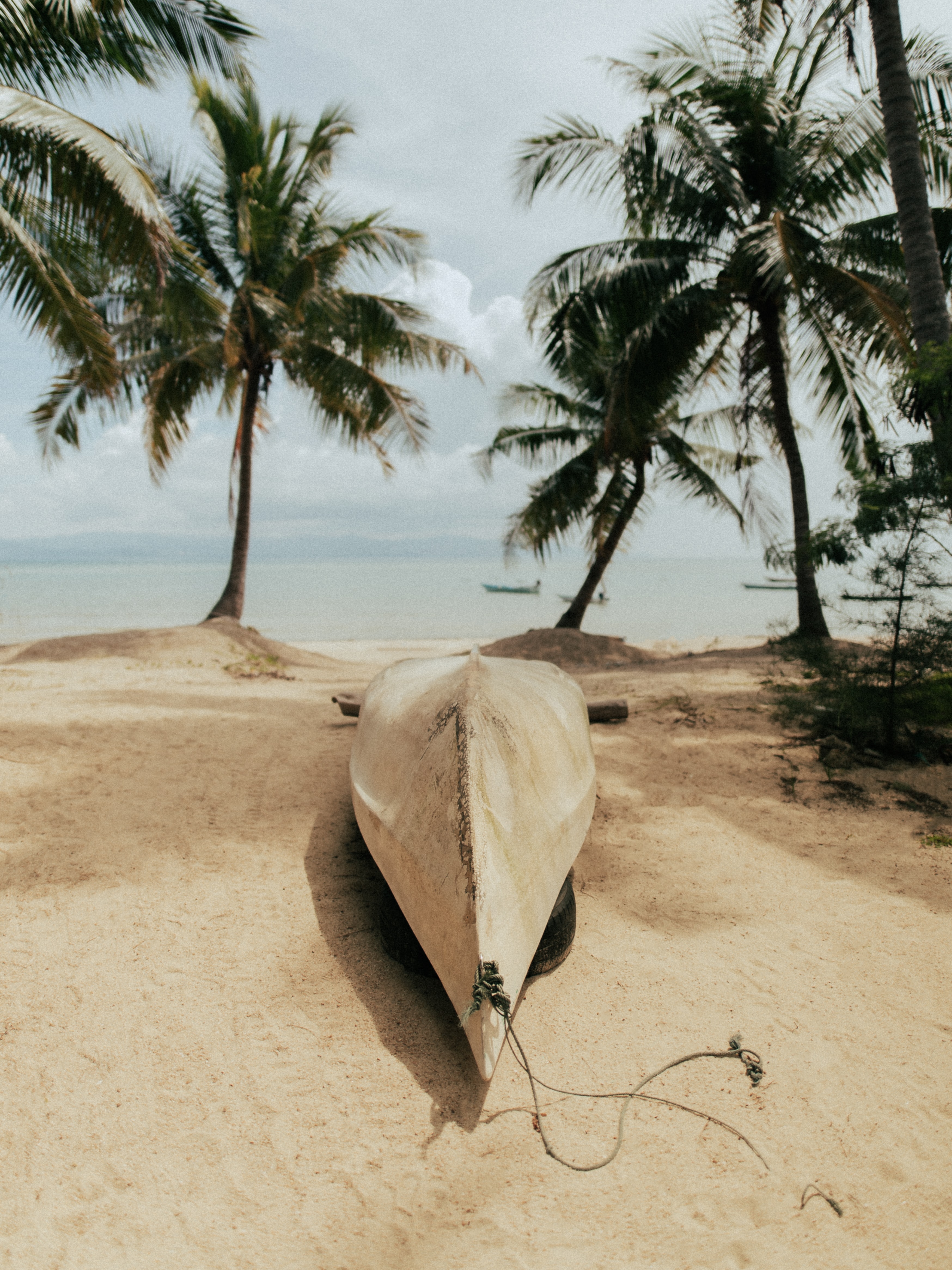 117985 baixar papel de parede palms, natureza, mar, praia, areia, um barco, barco - protetores de tela e imagens gratuitamente