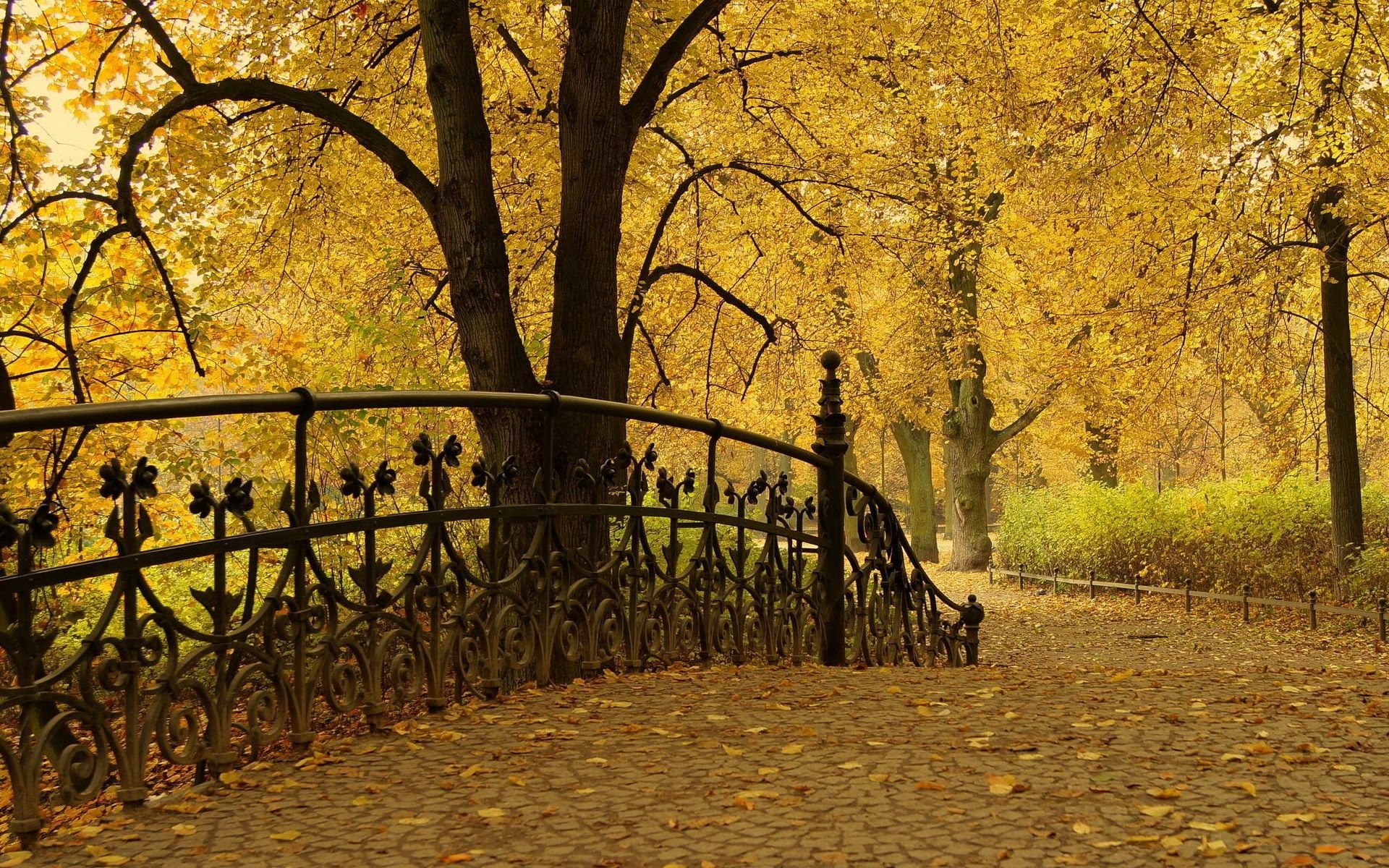 Скачать картинку Перила, Деревья, Природа, Парк, Мост, Осень, Листья в телефон бесплатно.
