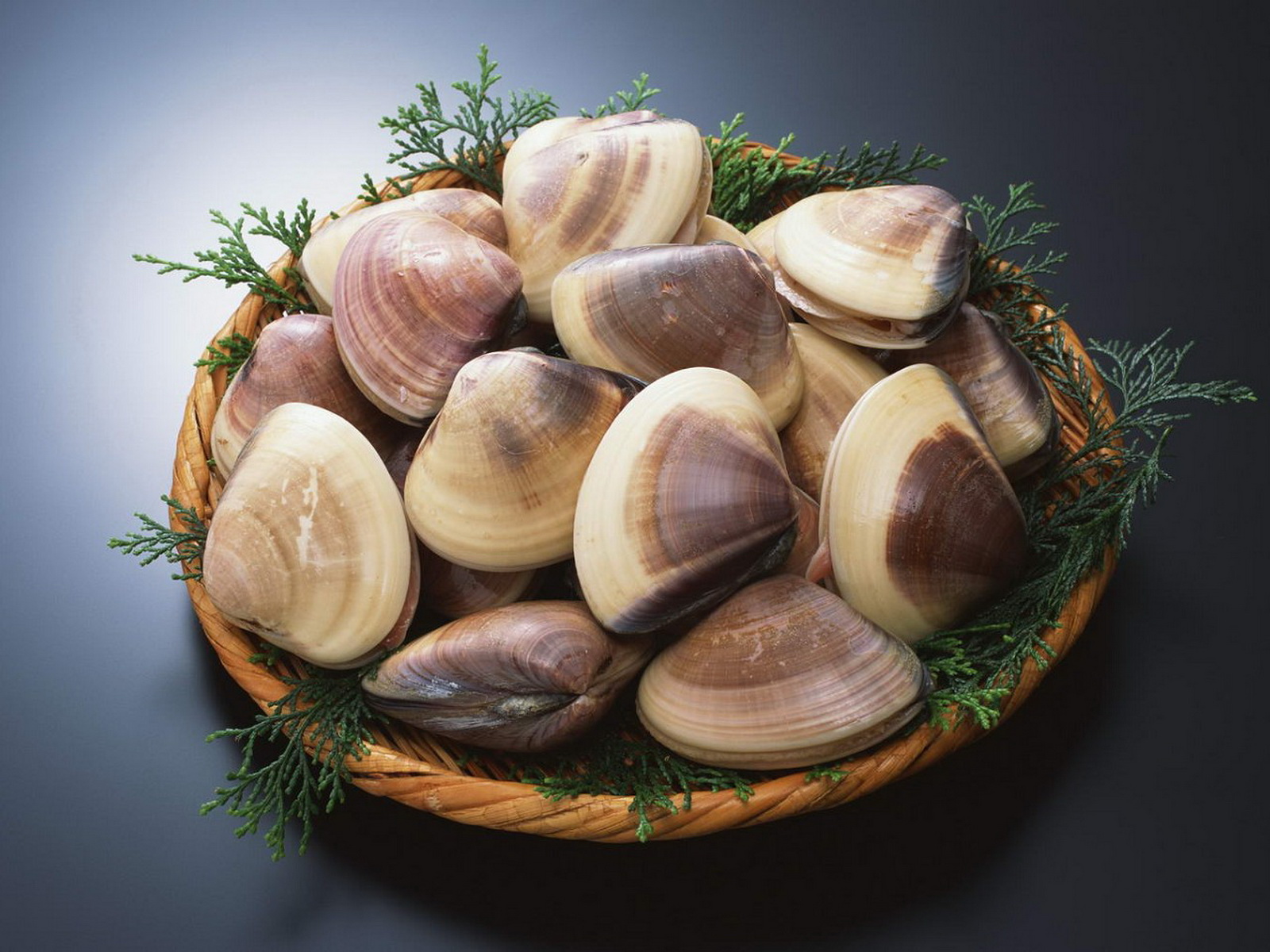 food, clams