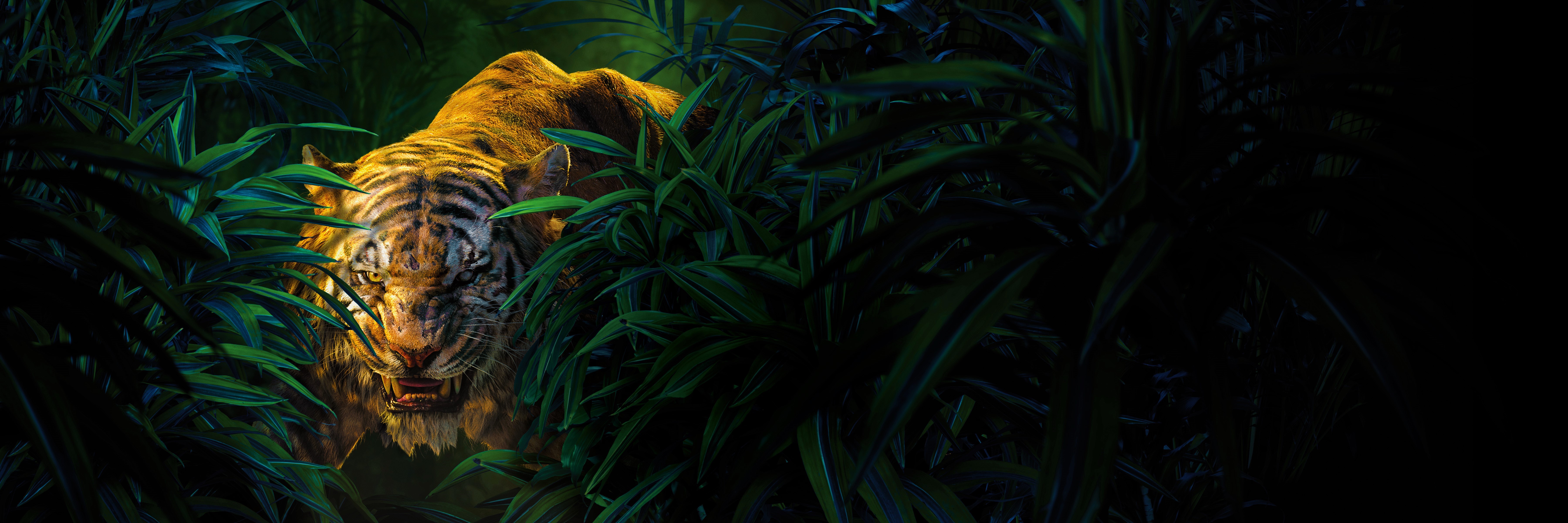 HQ The Jungle Book Background