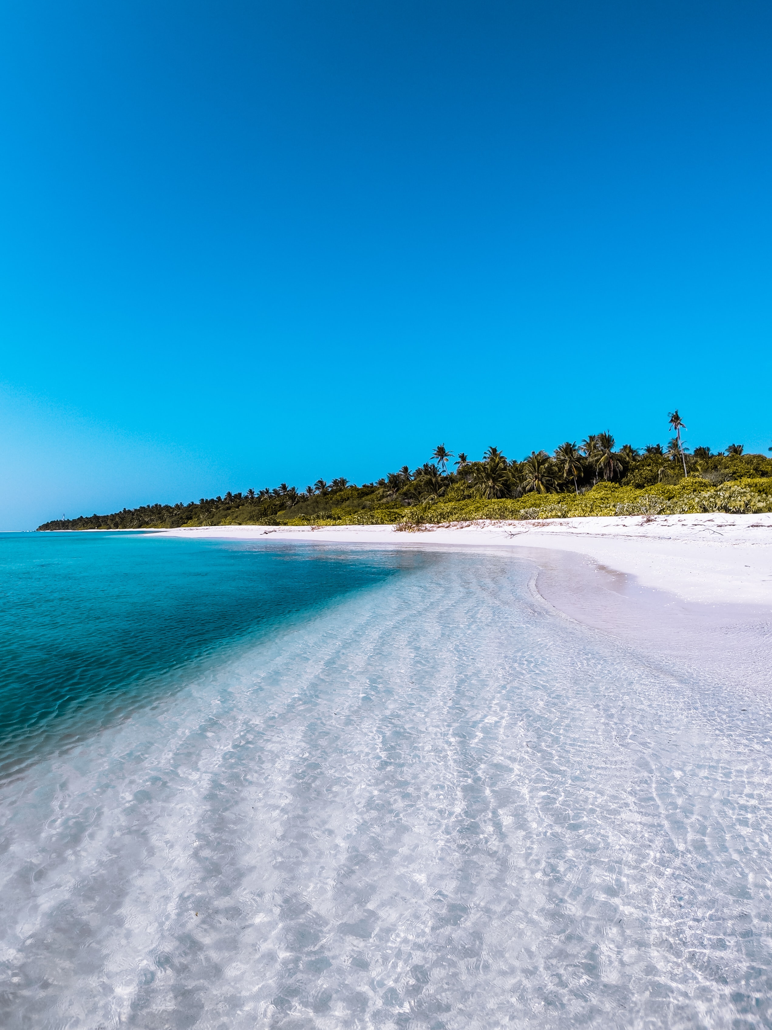 132408 baixar papel de parede praia, natureza, palms, costa, banco, ilha, maldivas - protetores de tela e imagens gratuitamente