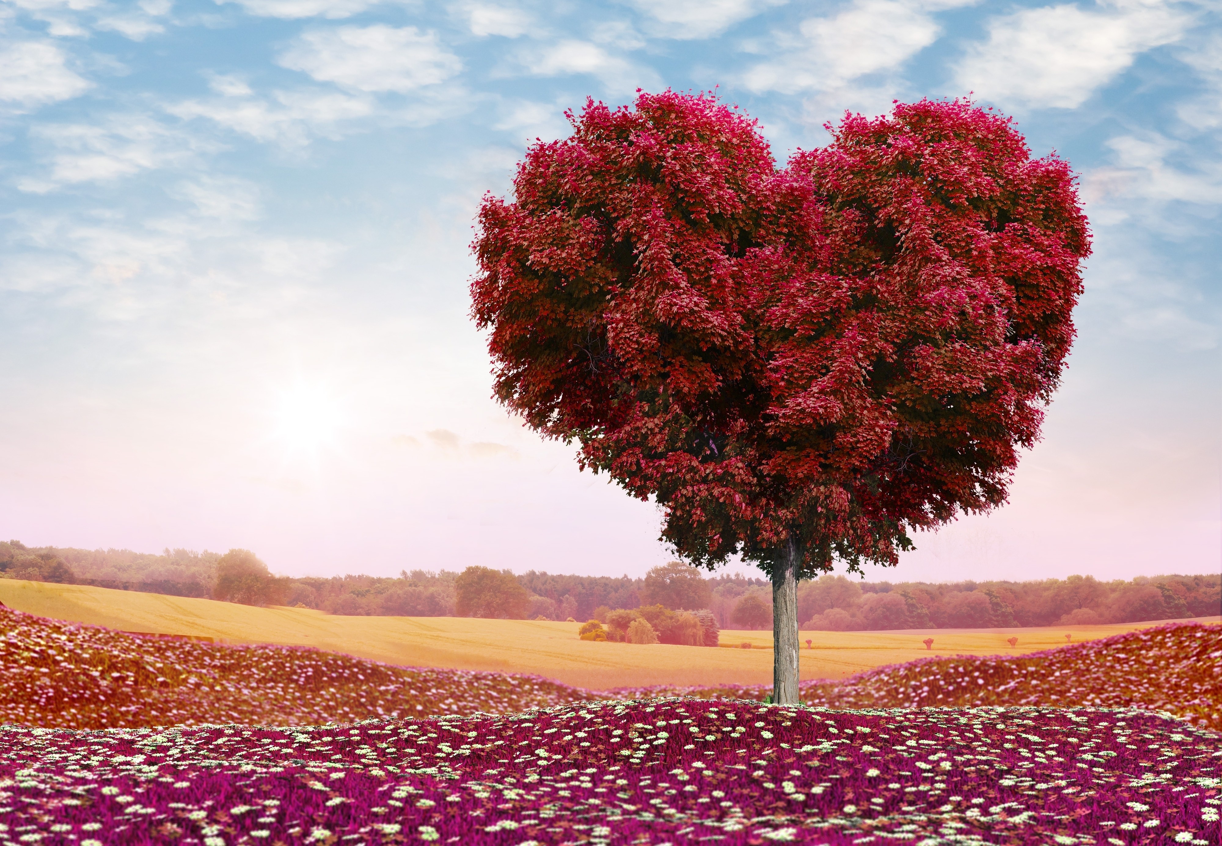 tree, love, heart, leaves, wood, photoshop Full HD