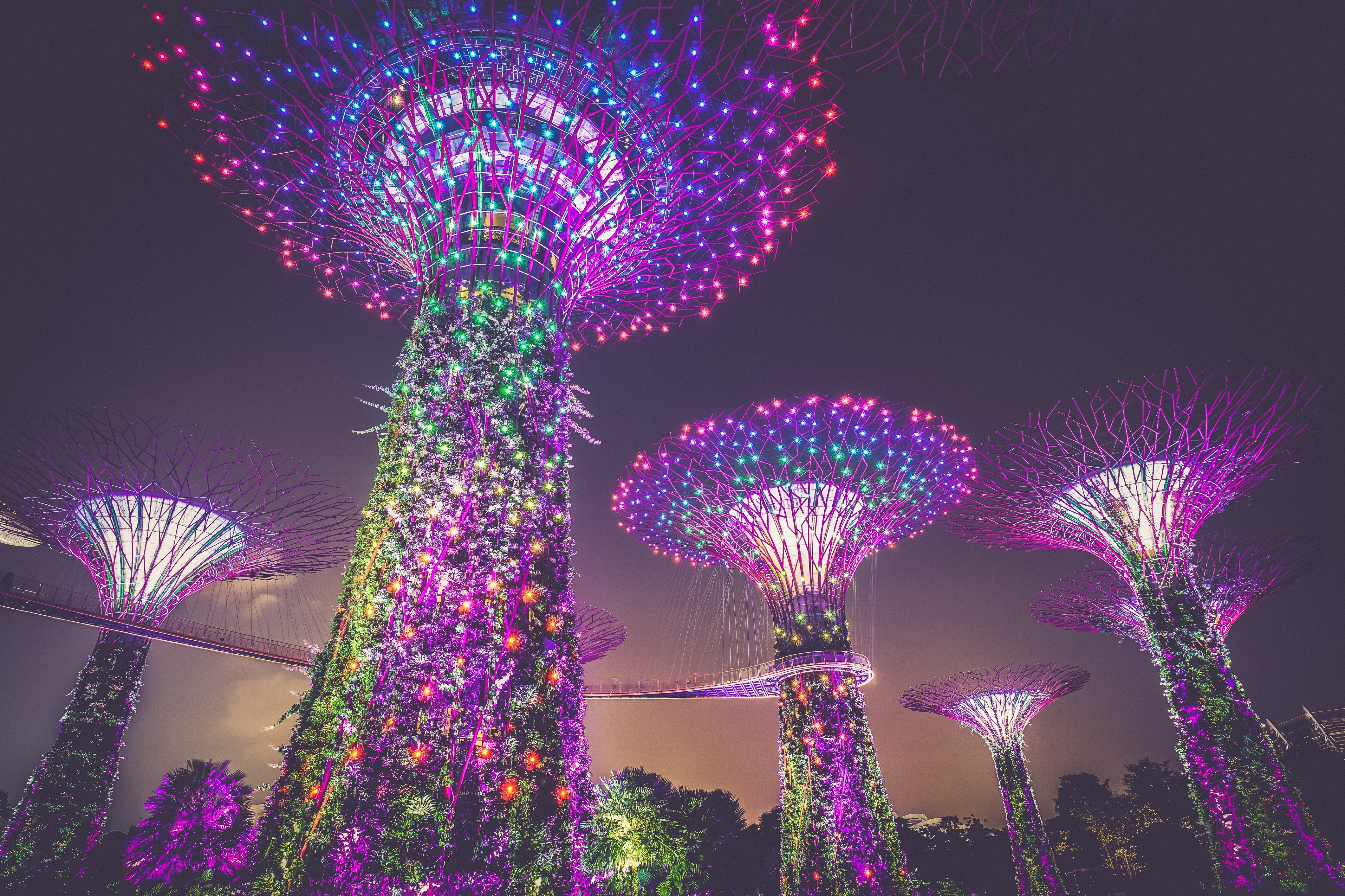 Handy-Wallpaper Städte, Stadt, Beleuchtung, Singapur, Künstliche Bäume, Dekoration kostenlos herunterladen.