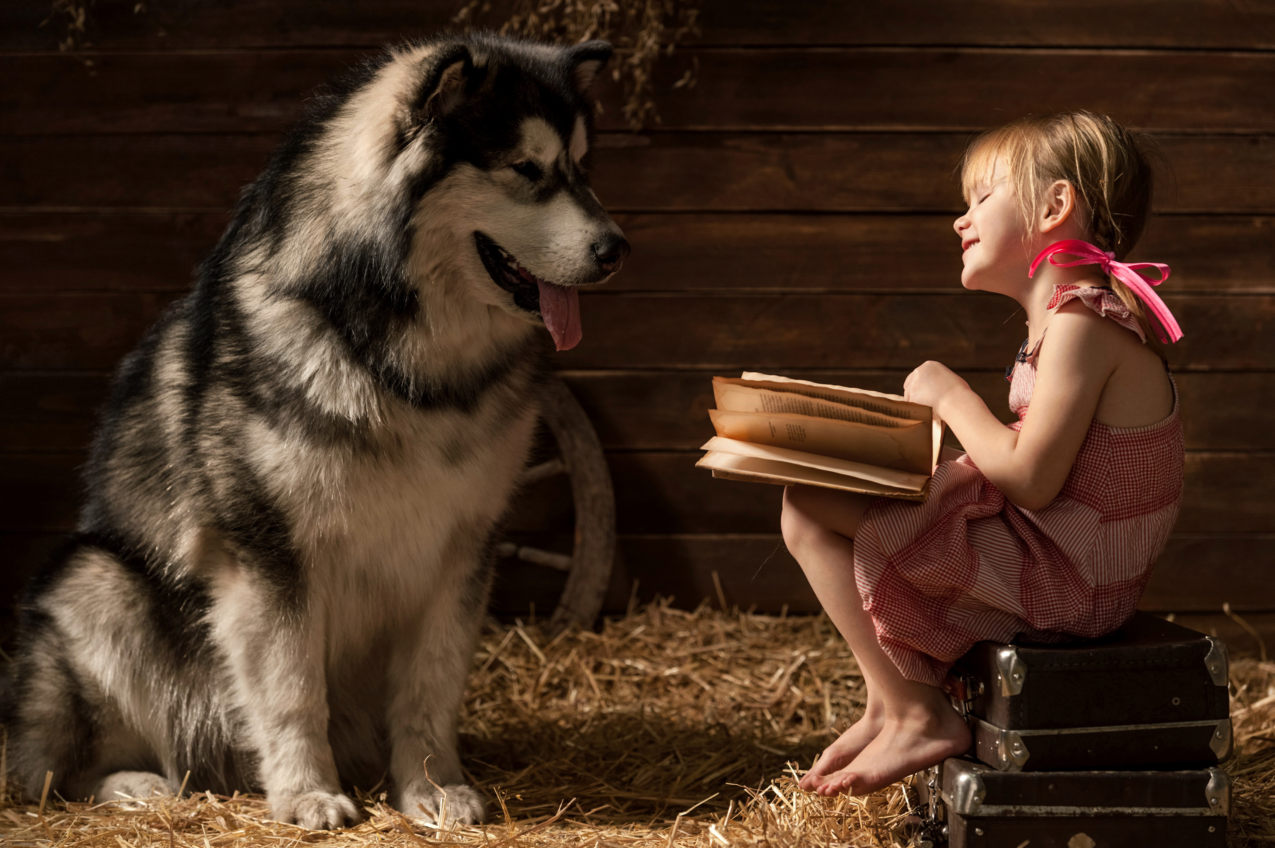 photography, child, barn, dog, little girl Aesthetic wallpaper