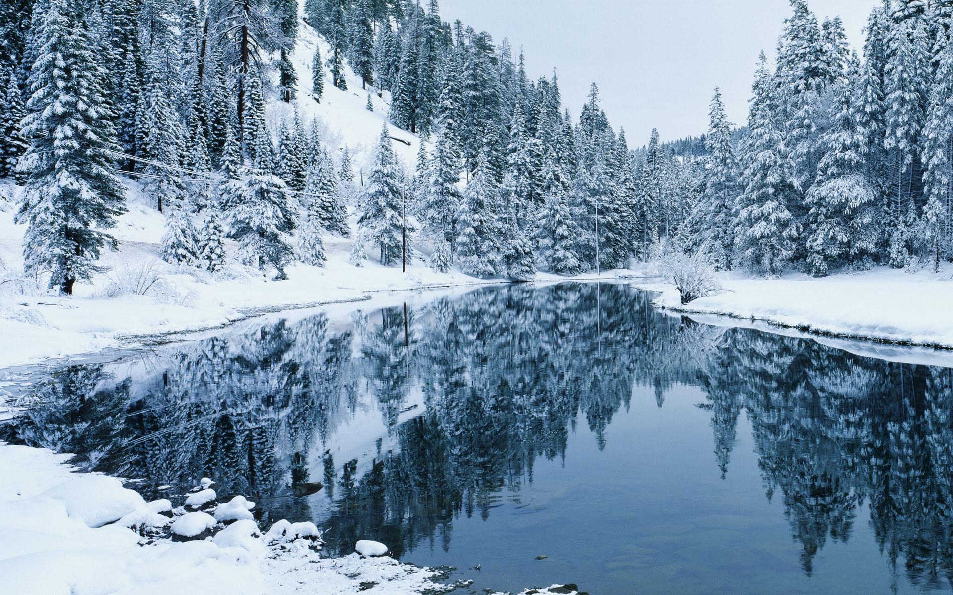 Картинка зимой река лес
