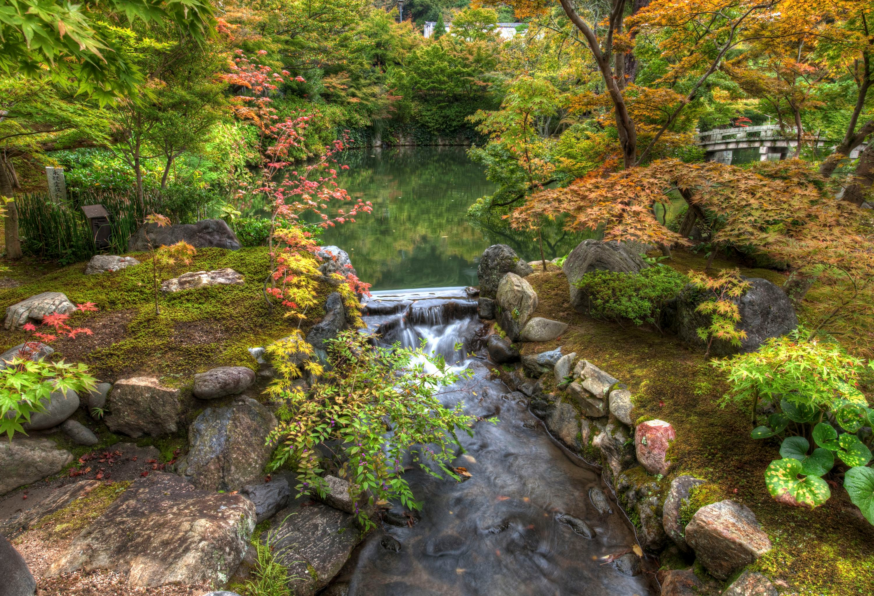 Handy-Wallpaper Natur, Herbst, Park, Busch, Garten, Japan, Menschengemacht, Kyōto, Der Harmoniegarten kostenlos herunterladen.