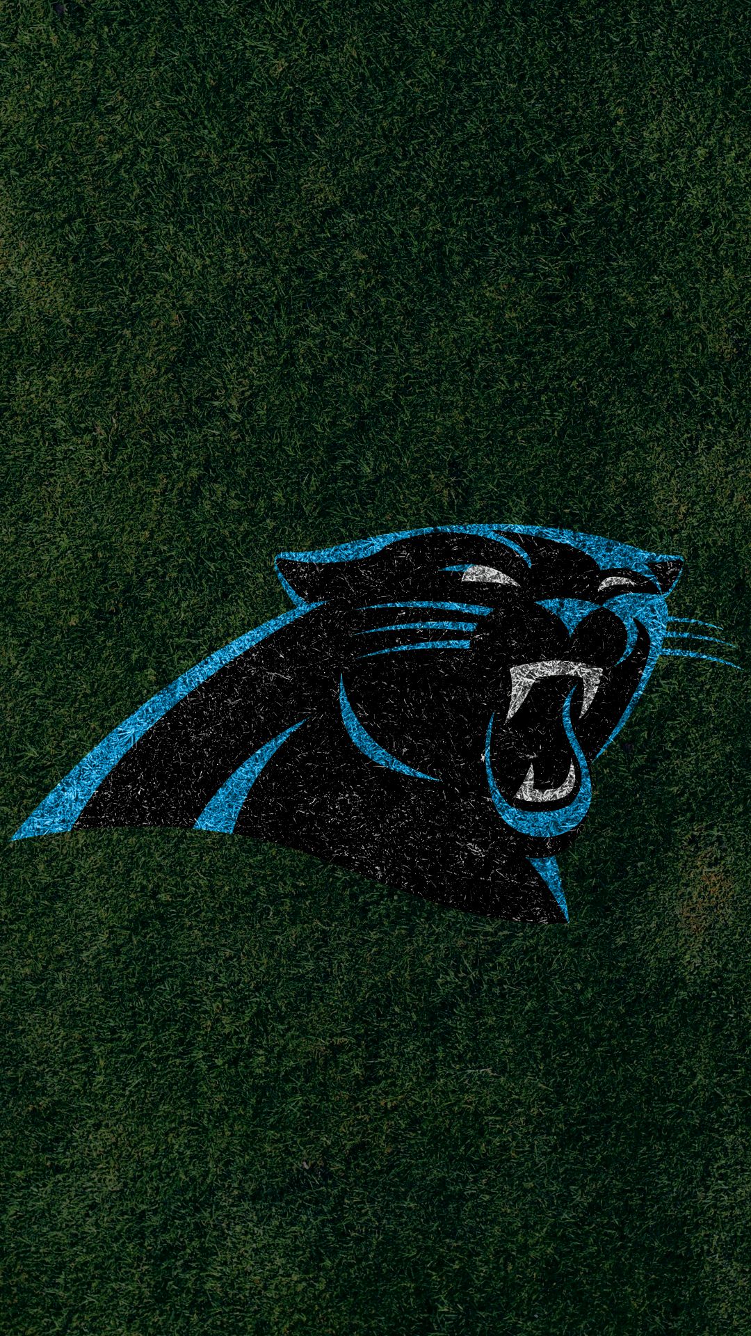 Free download Carolina Panthers Spotlight Wallpaper for Phones and Tablets  [450x590] for your Desktop, Mobile & Tablet, Explore 50+ Carolina Panthers  Phone Wallpaper