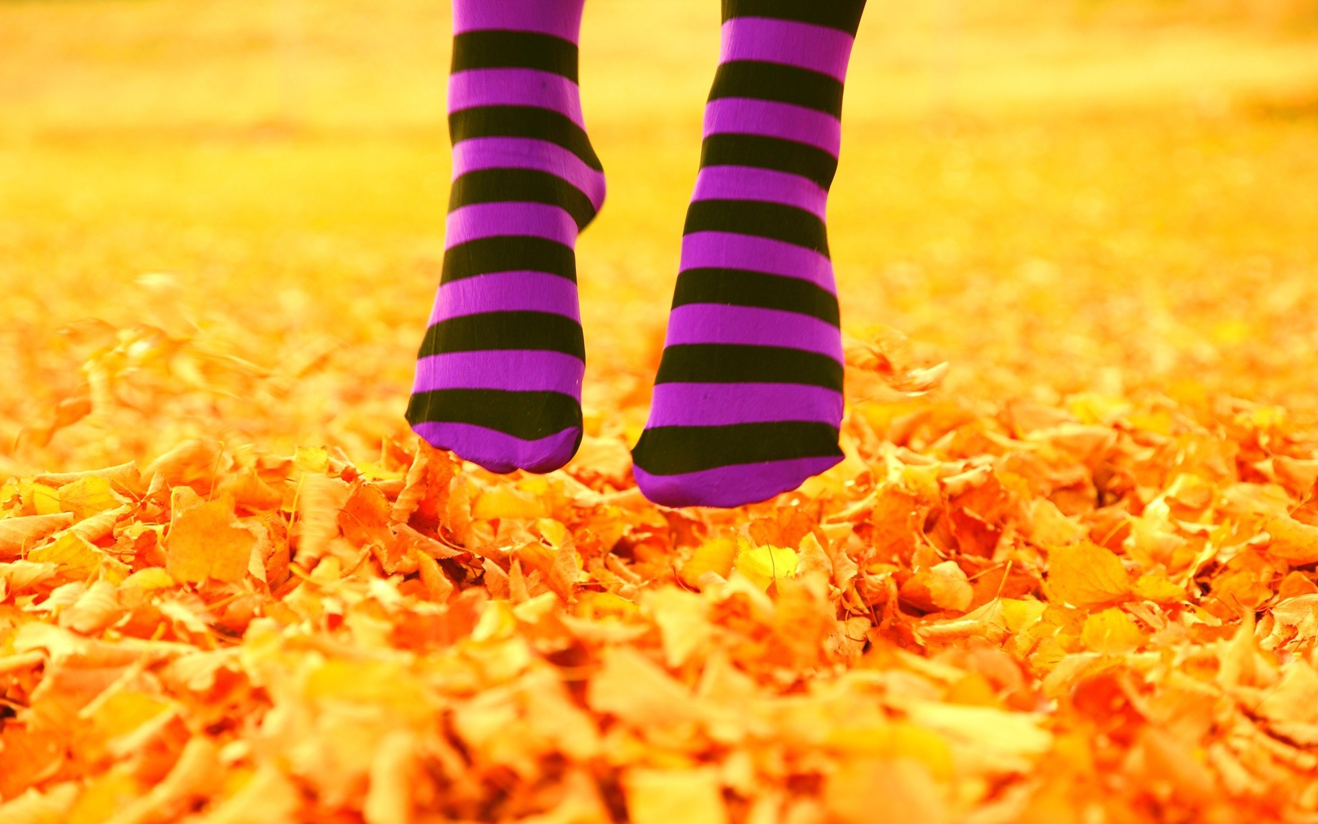 Осенние носки