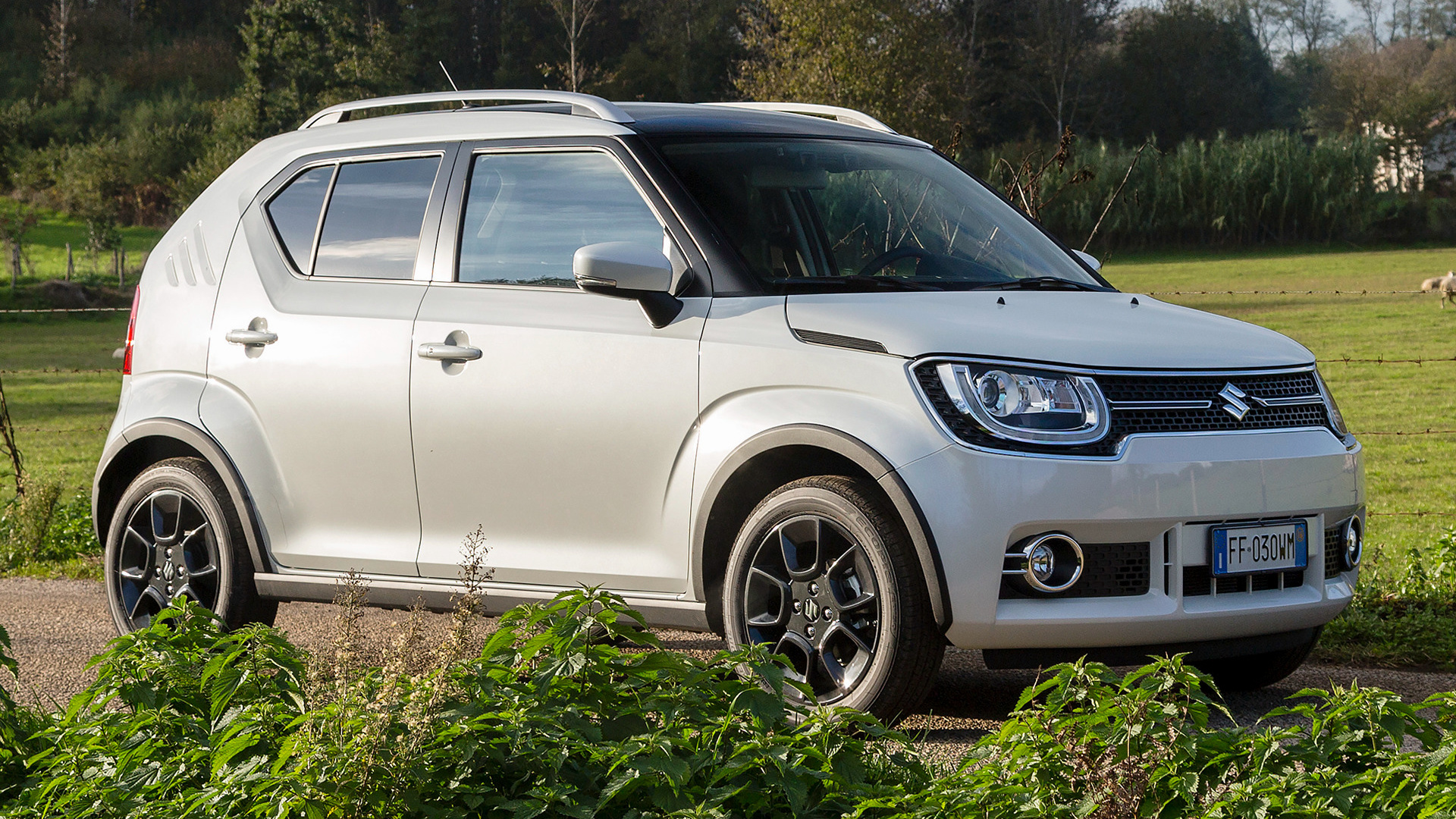 Suzuki ignis фото