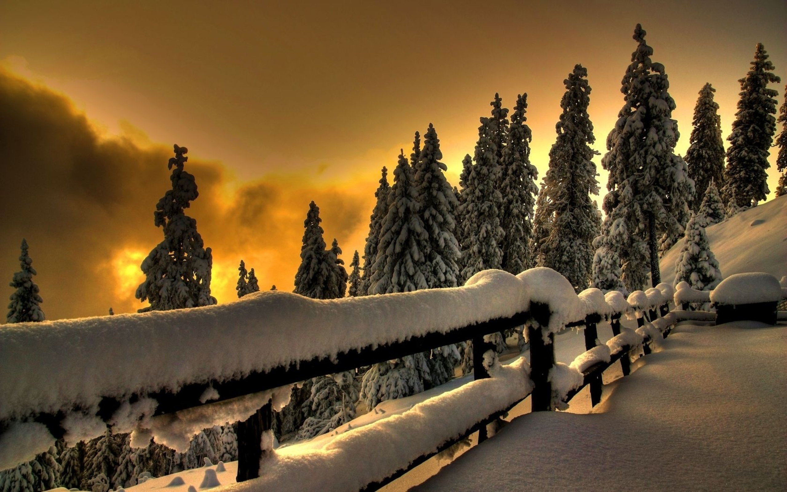 無料モバイル壁紙オレンジ, 雪, 風景をダウンロードします。