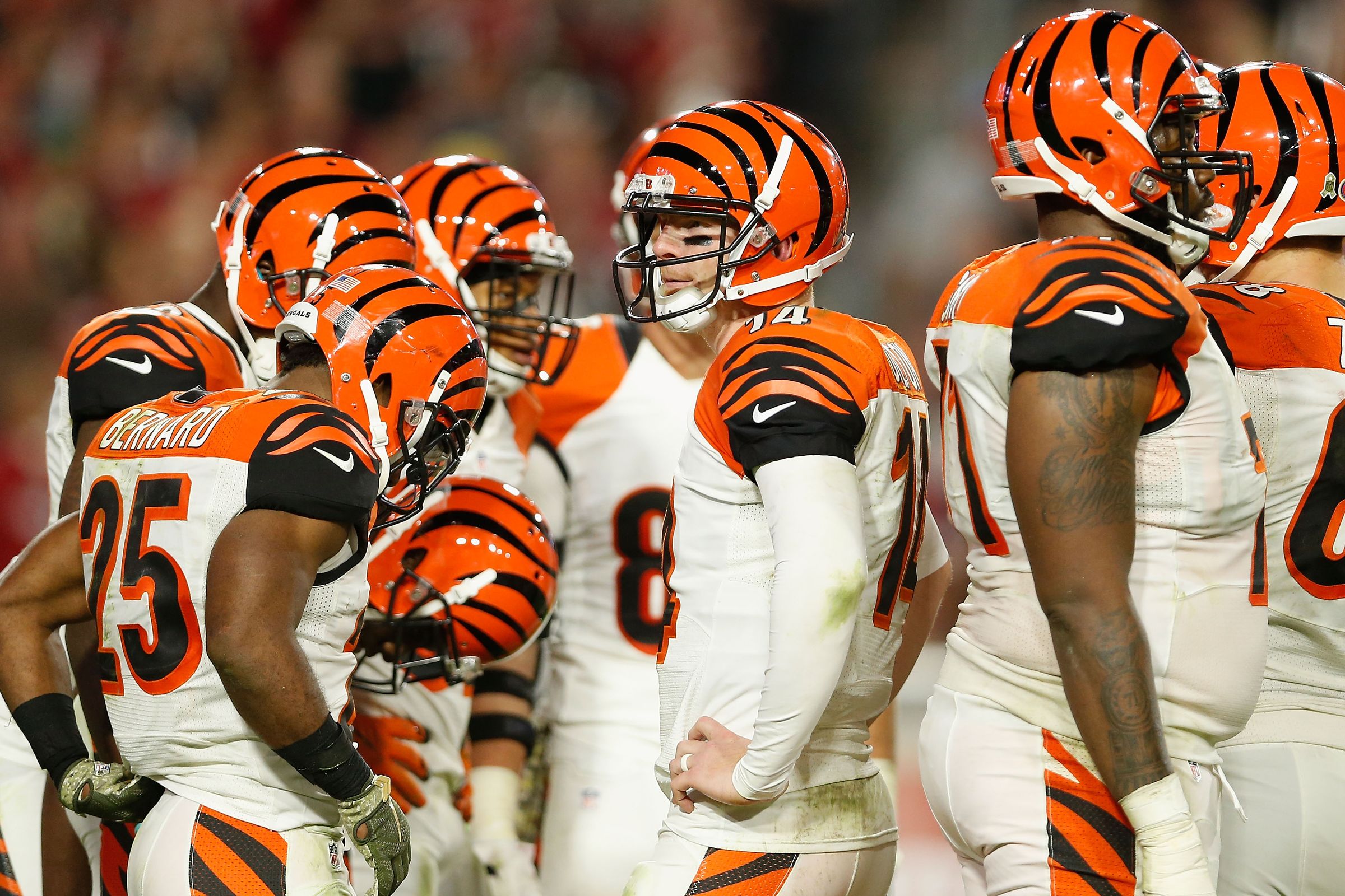 Cincinnati Bengals Wallpaper APK for Android Download