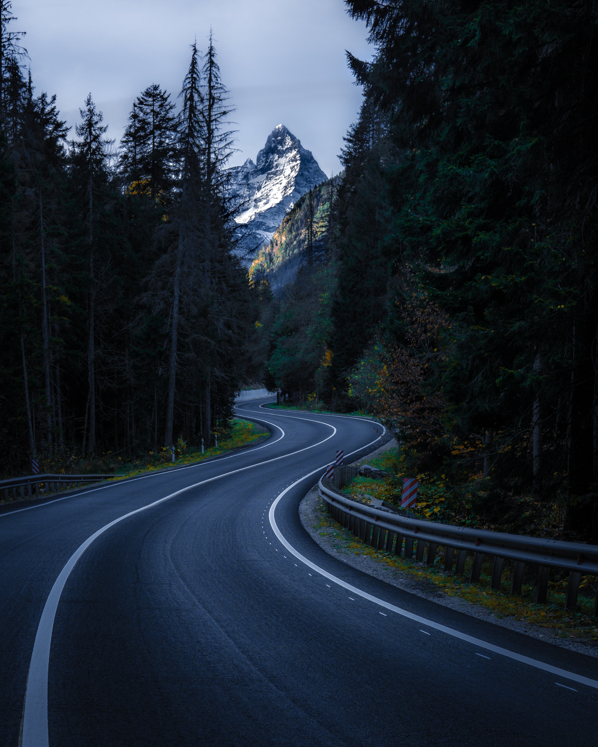 nature, trees, sinuous, road, mountain, vertex, top, winding mobile wallpaper
