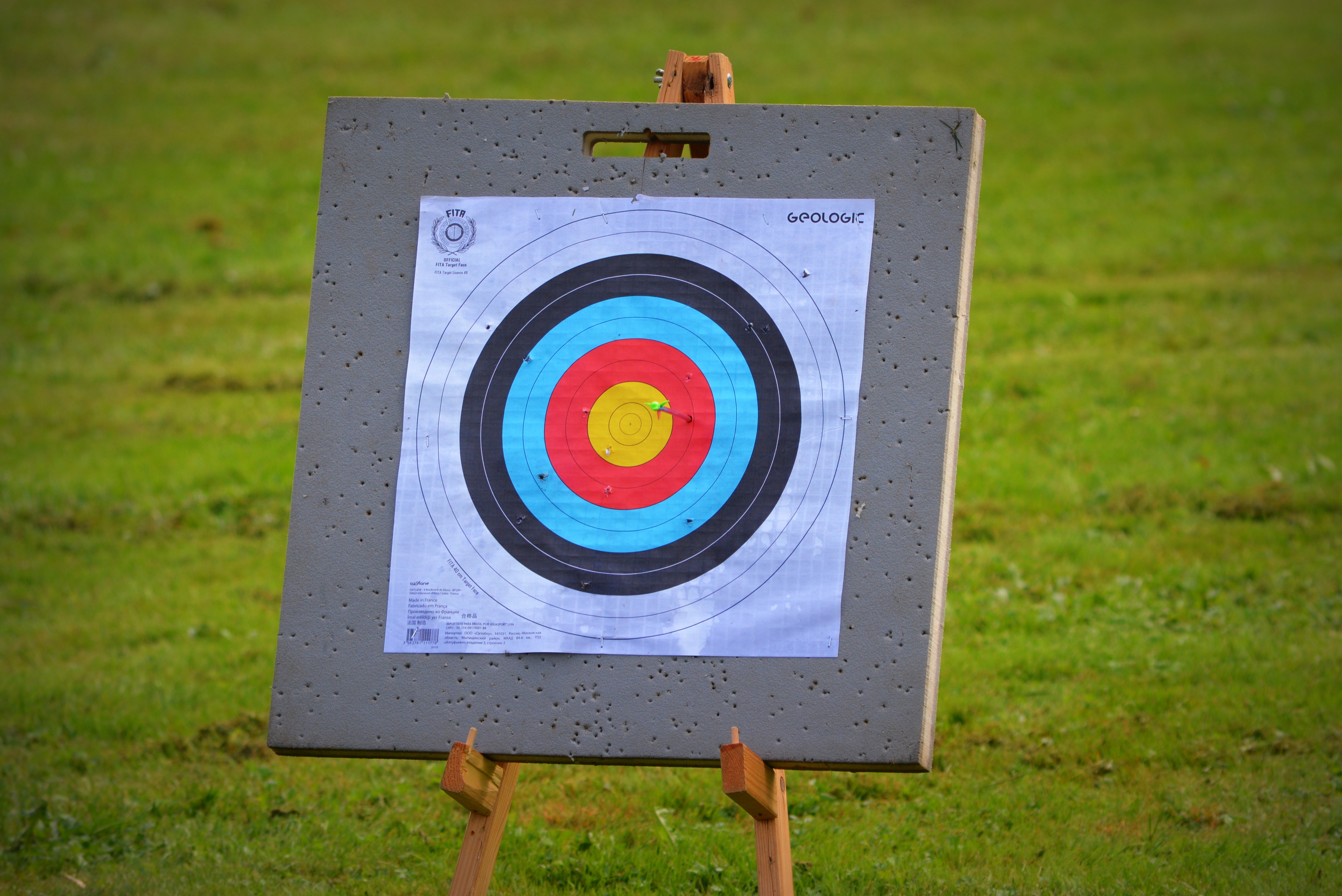 focus, sports, target, purpose, archery UHD