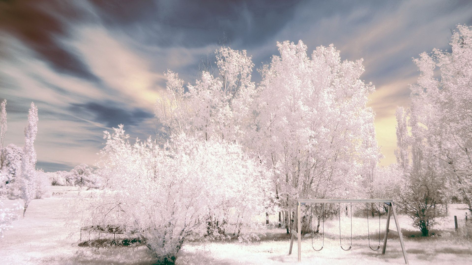 Laden Sie das Natur, Bäume, Rauhreif, Schwingen, Swing, Schnee, Park, Der Park, Frost, Winter-Bild kostenlos auf Ihren PC-Desktop herunter