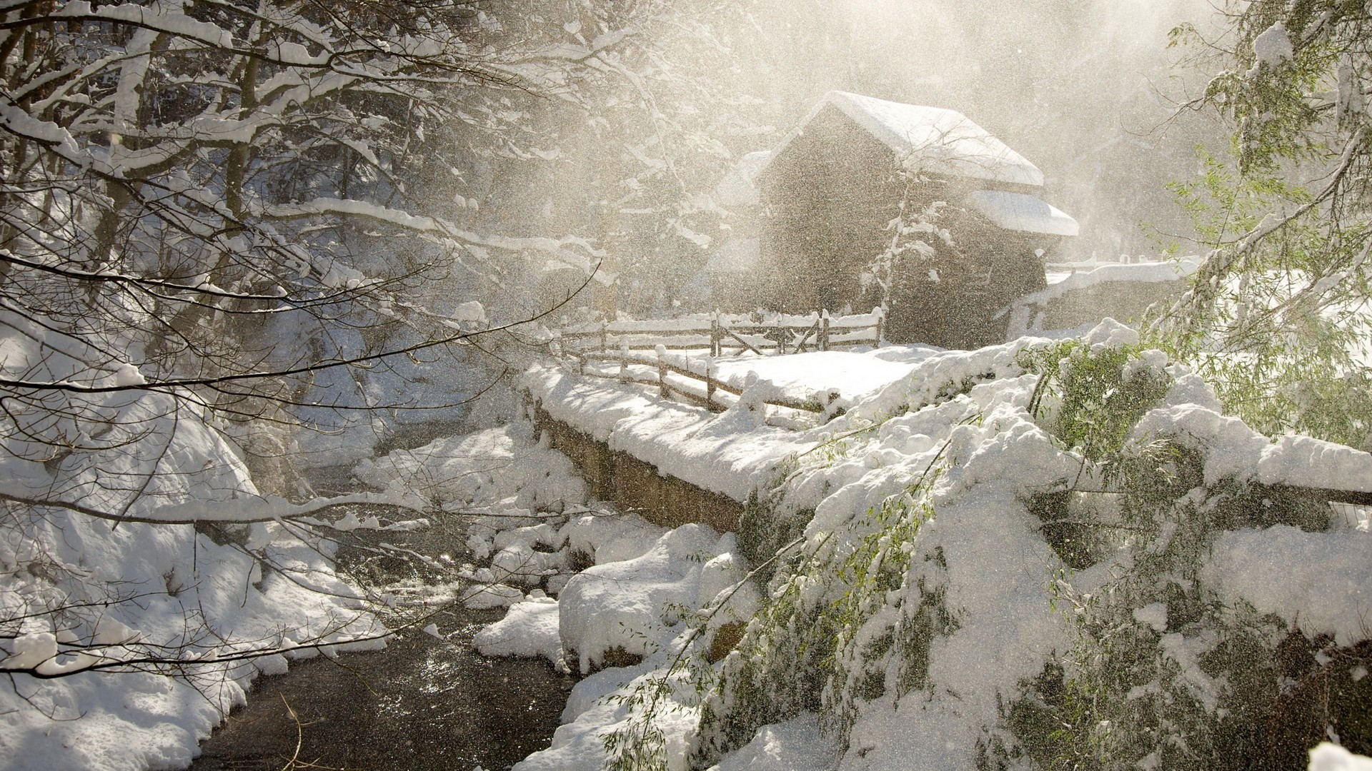 Зима снег фото