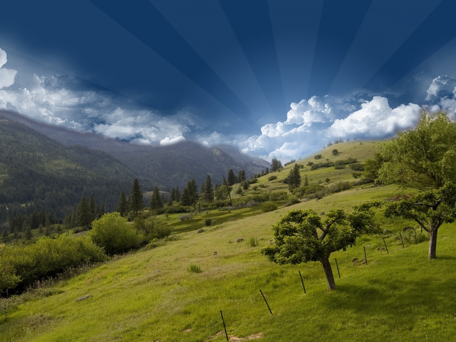 Laden Sie das Landschaft, Bäume, Grass, Mountains, Sky, Clouds-Bild kostenlos auf Ihren PC-Desktop herunter