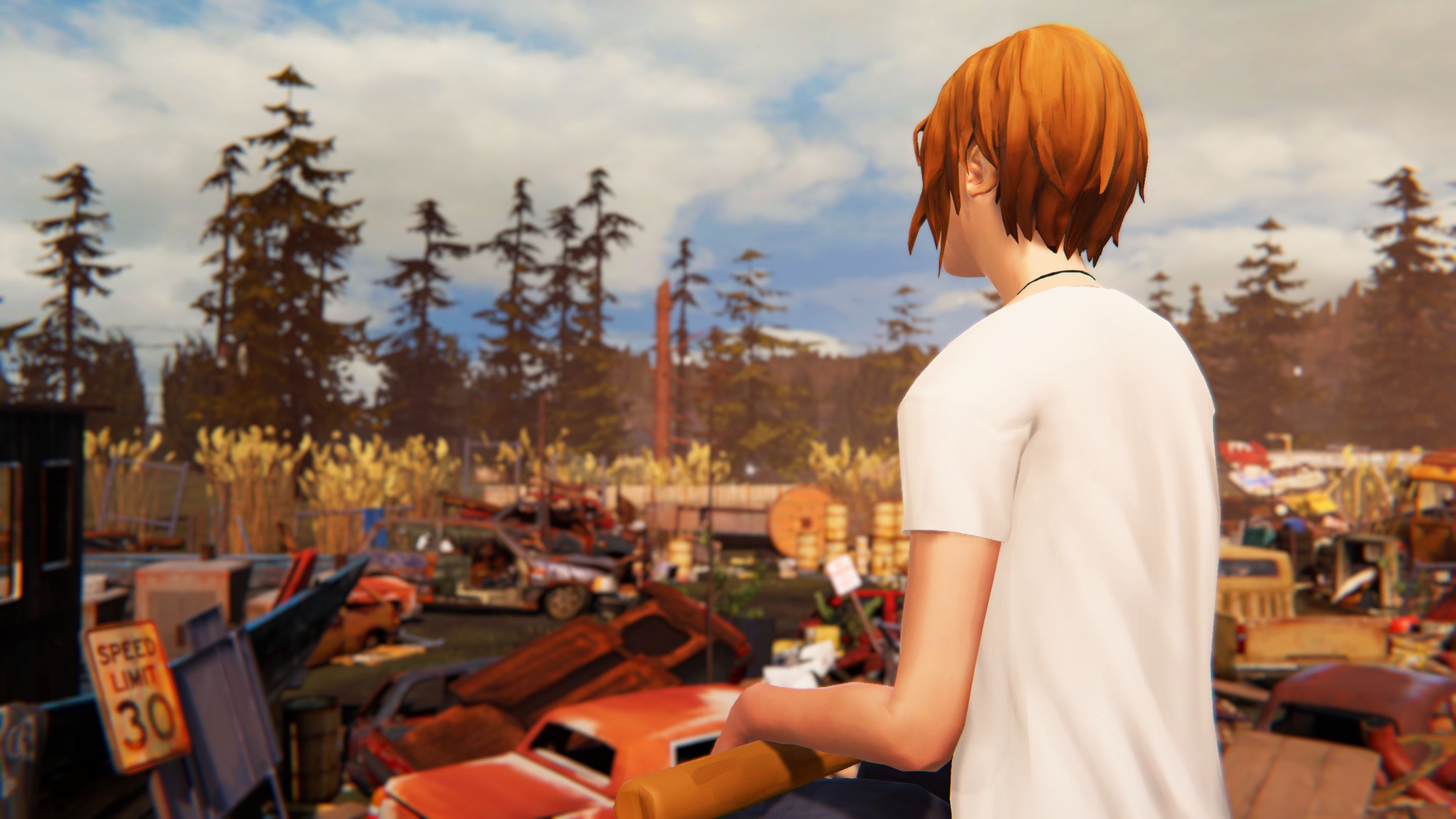 Life is strange достижения steam фото 104