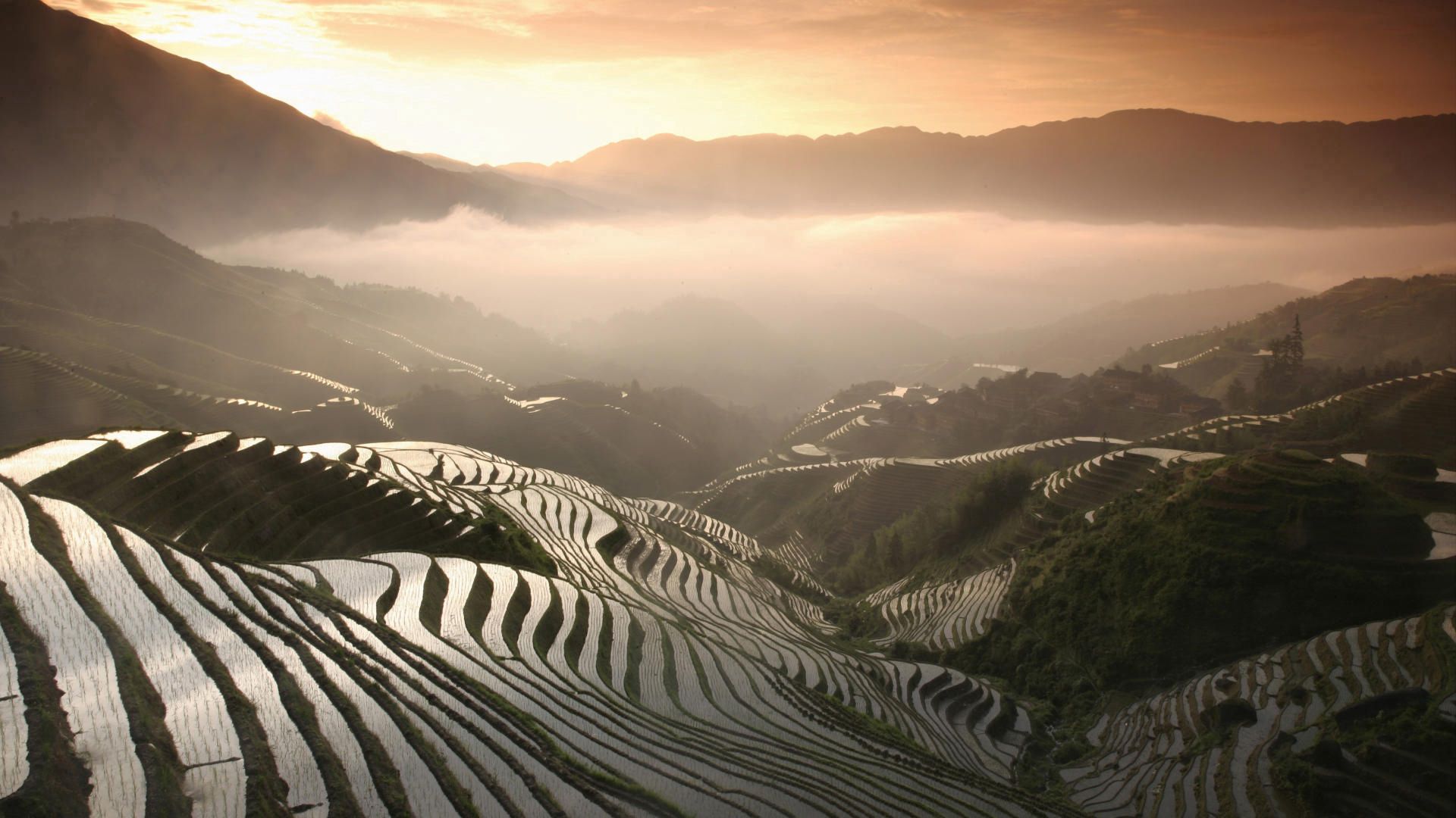 65395 скачать картинку рисовые поля, природа, горы, туман - обои и заставки бесплатно