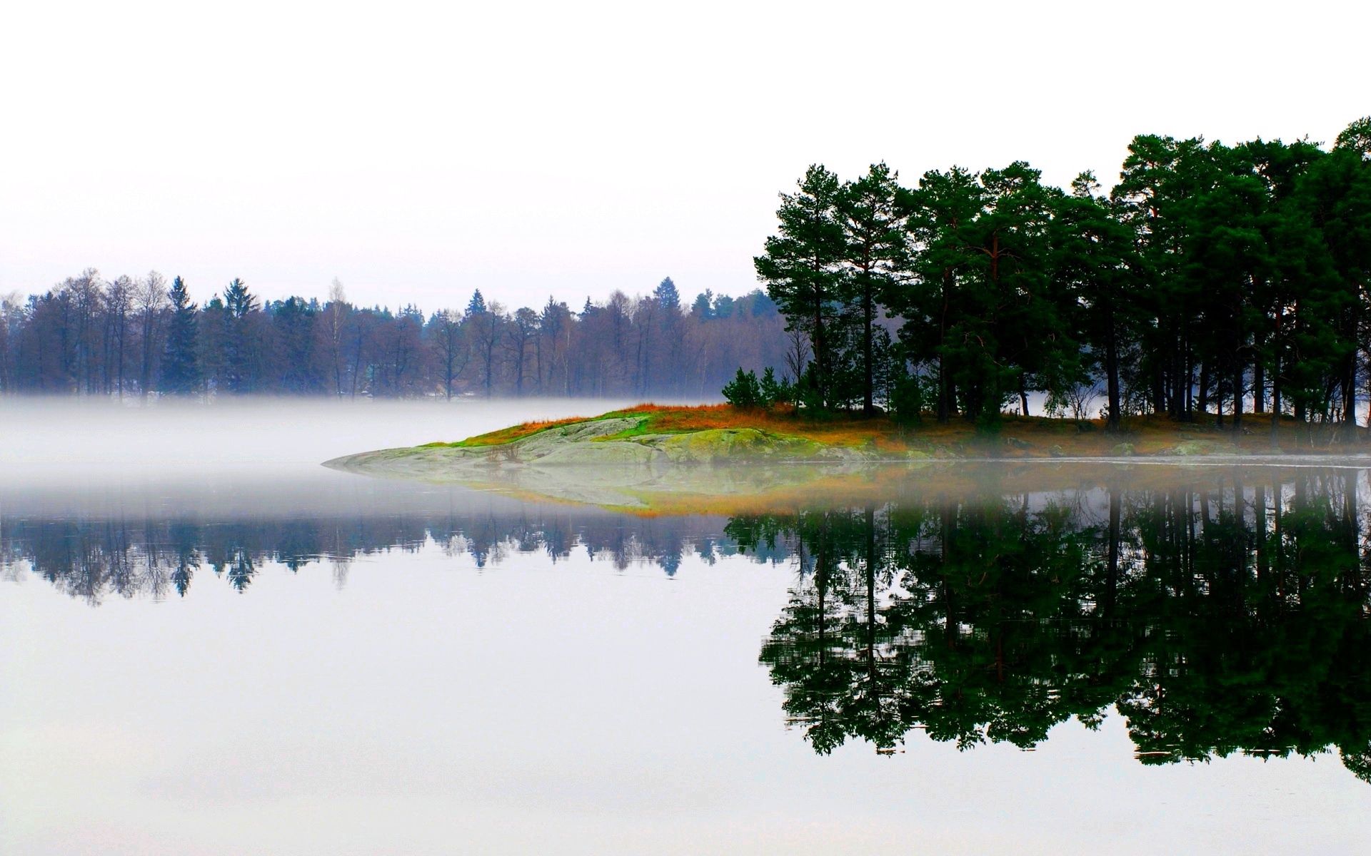 landscape, nature, trees, lake, fog, morning, island, islet QHD