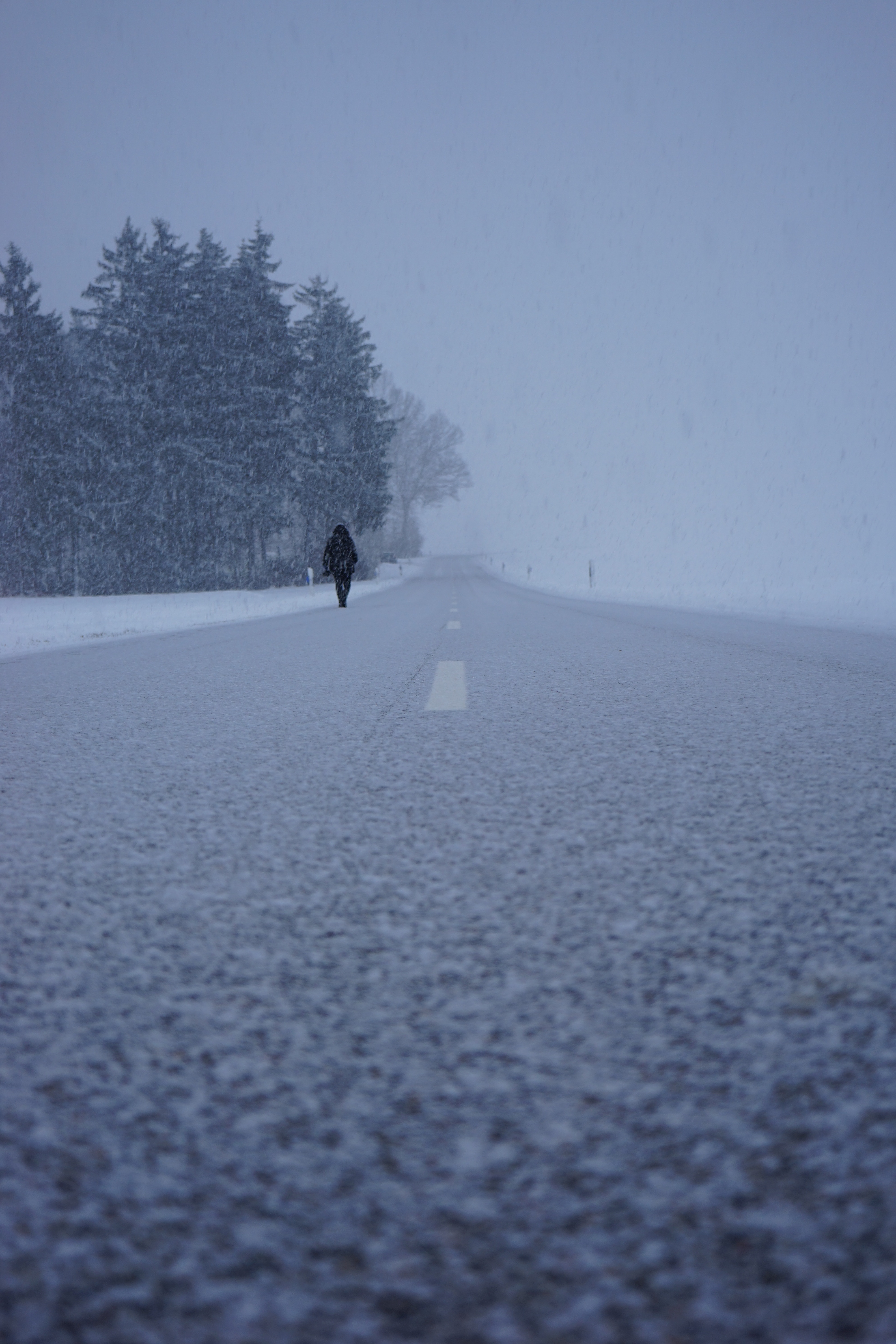 silhouette, winter, nature, road, fog, snowstorm, snowfall 1080p