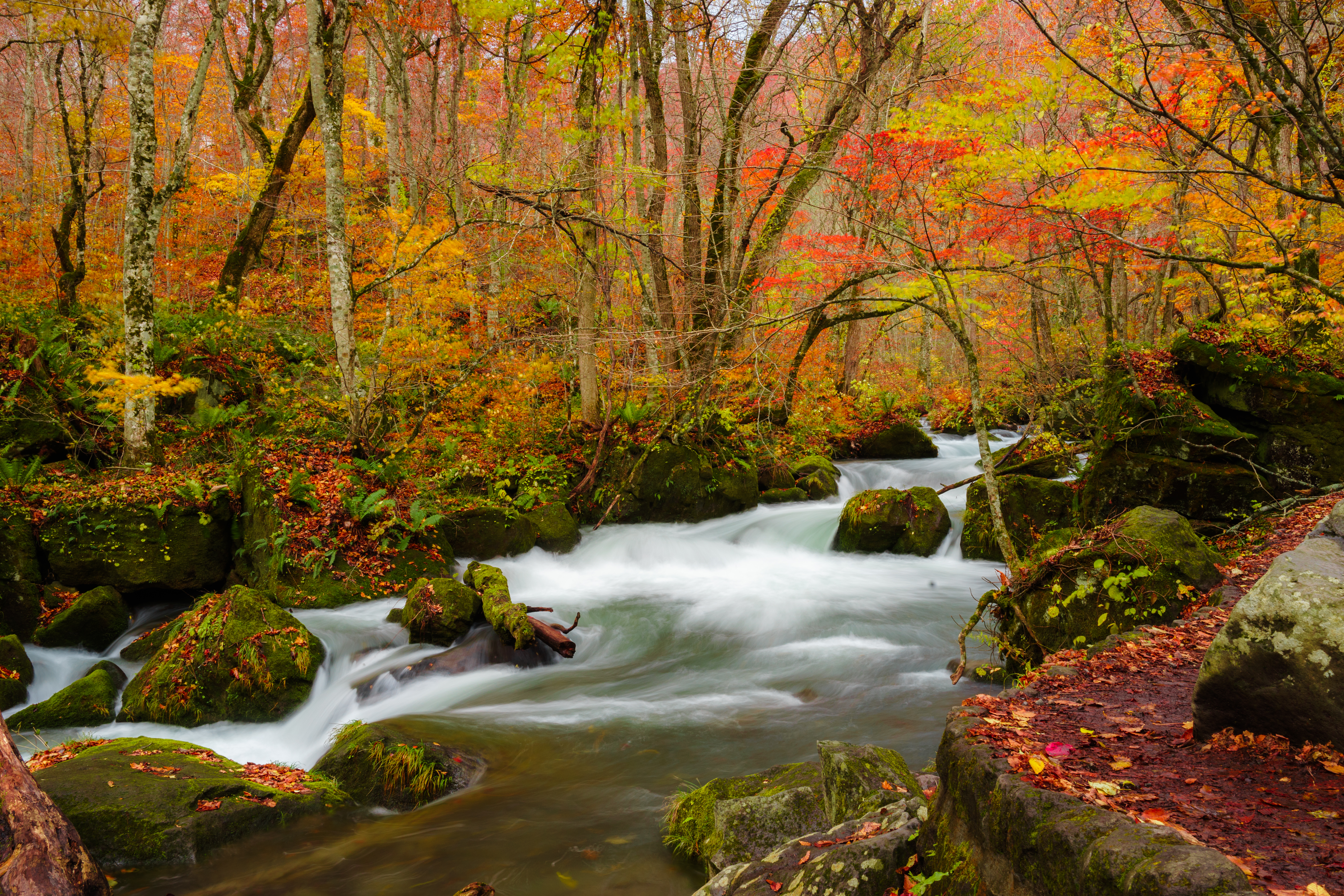 Handy-Wallpaper Natur, Fließen, Flüsse, Bäume, Stream, Blätter, Herbst kostenlos herunterladen.