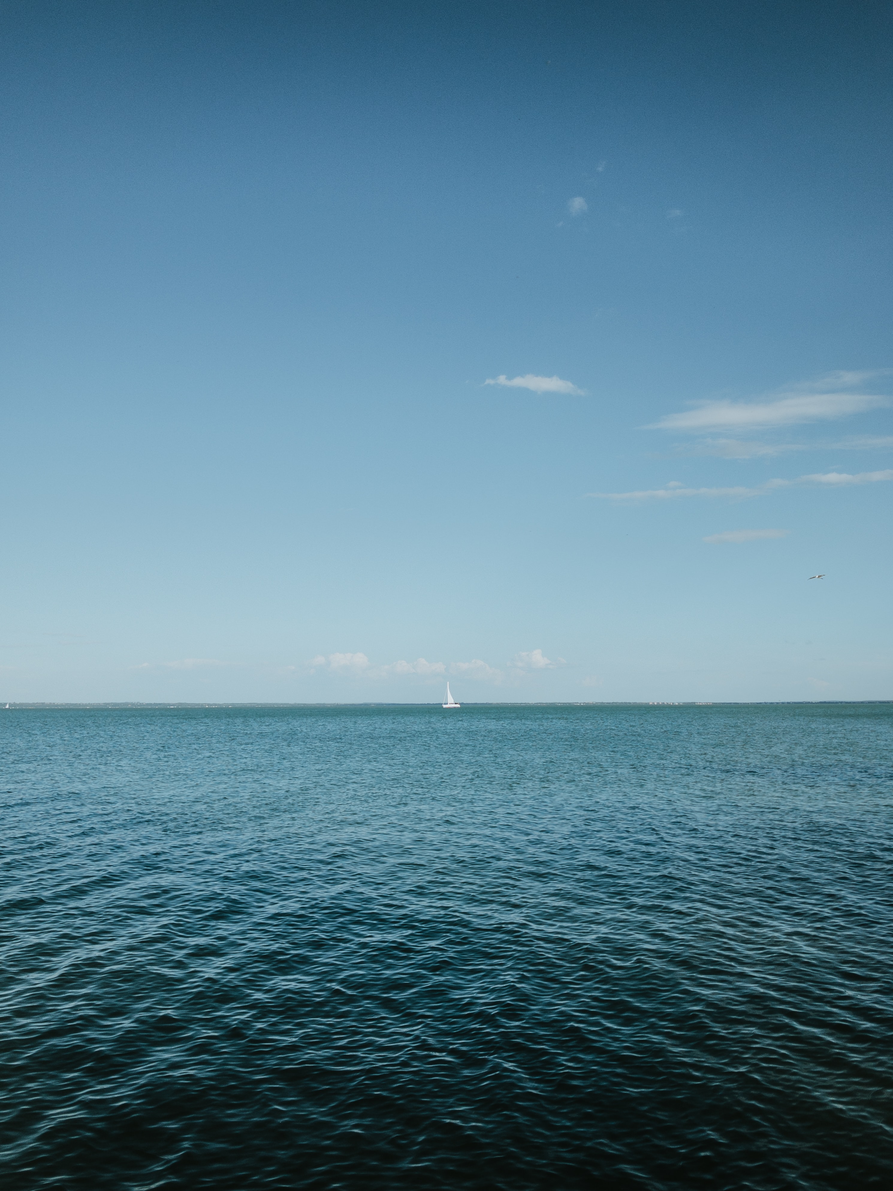 107886 Hintergrundbild herunterladen natur, sky, sea, horizont, segelboot, sailfish - Bildschirmschoner und Bilder kostenlos
