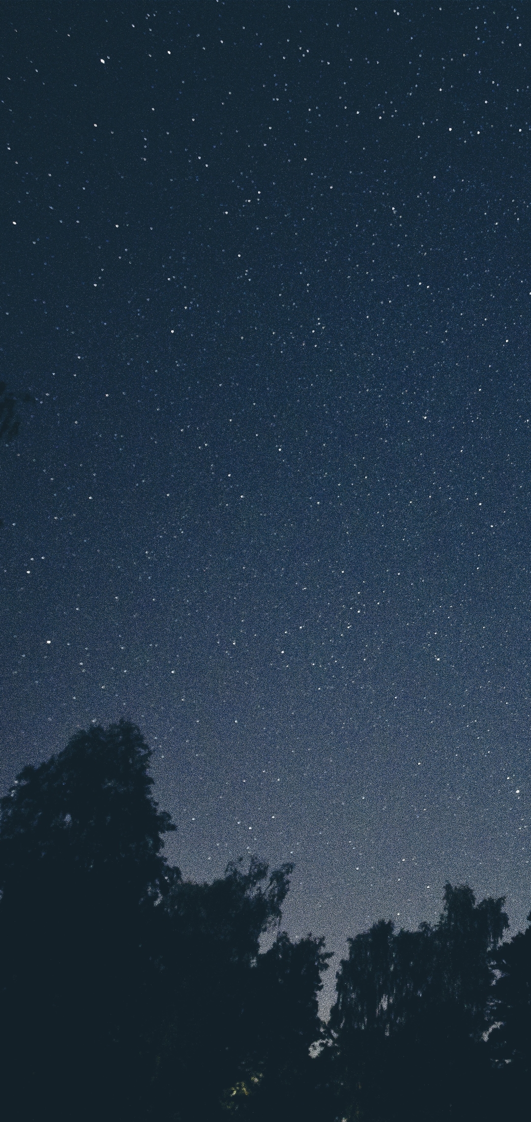 Download mobile wallpaper Sky, Stars, Night, Silhouette, Forest, Earth, Milky Way for free.